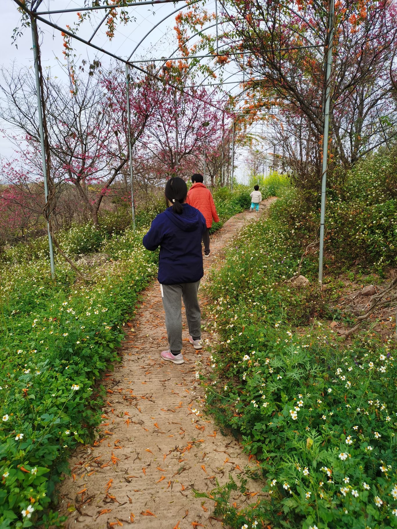广东和山休闲农业旅游产业园