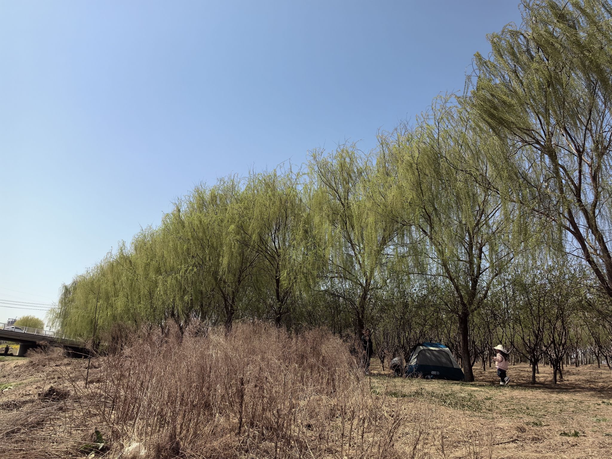 虞河运动公园
