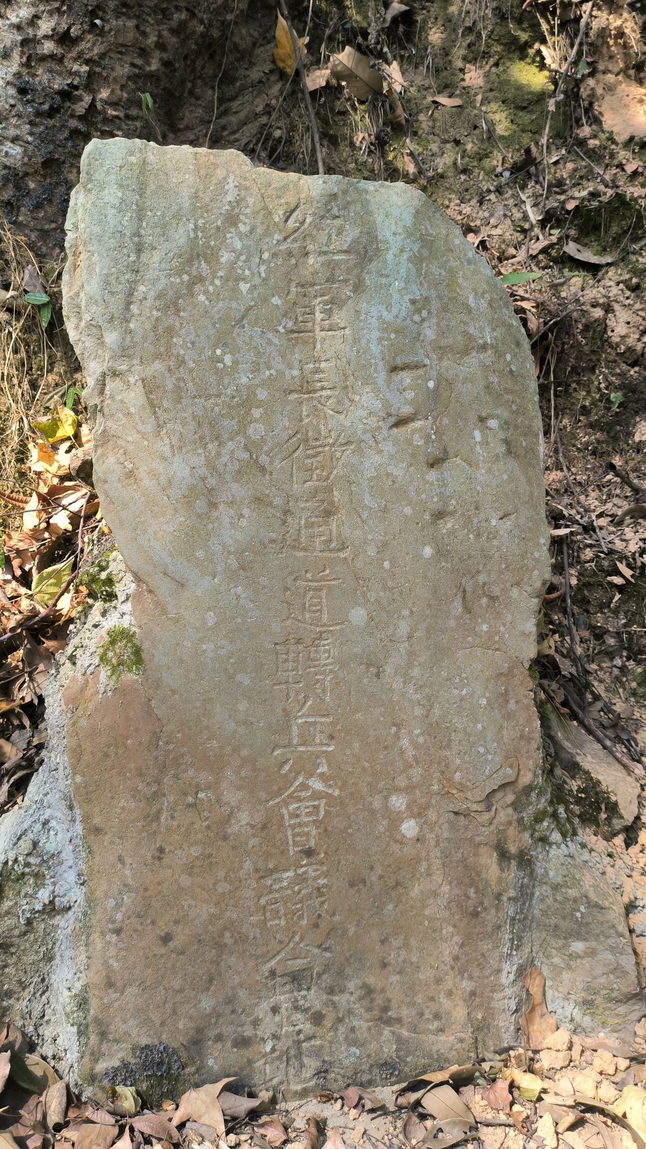 木林庵