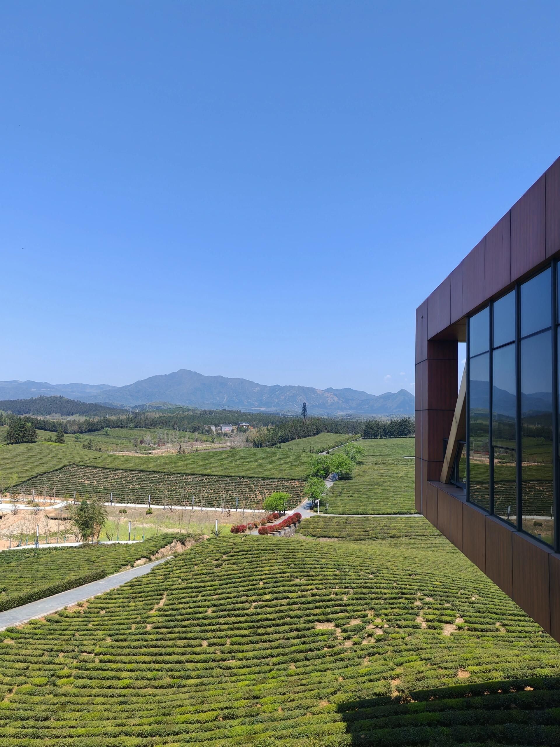 高岭文化村旅行图片