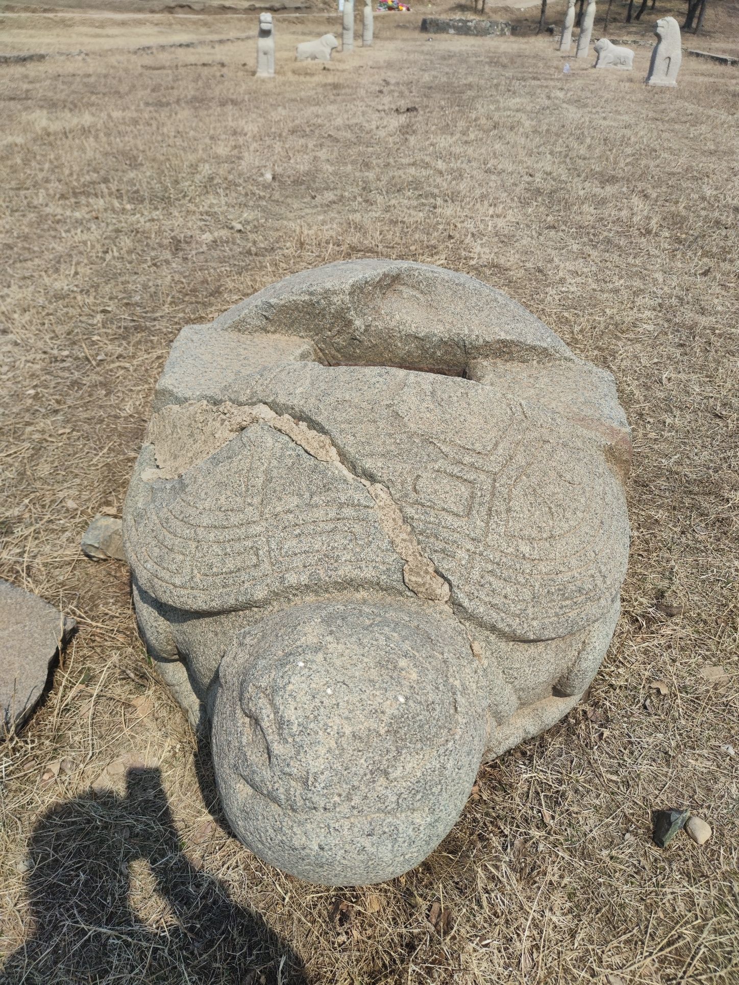 完颜娄室墓旅行图片