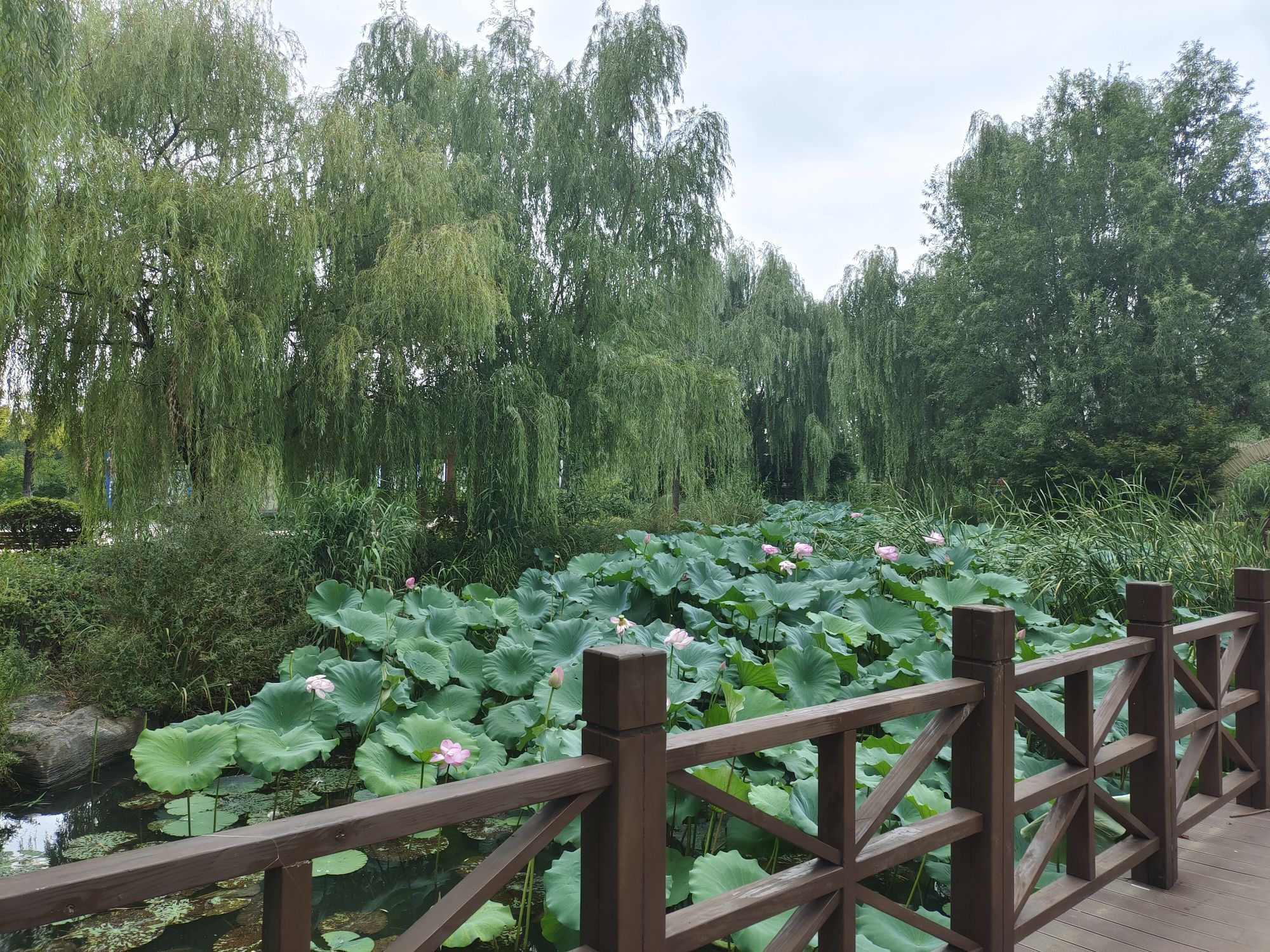 龙潭公园