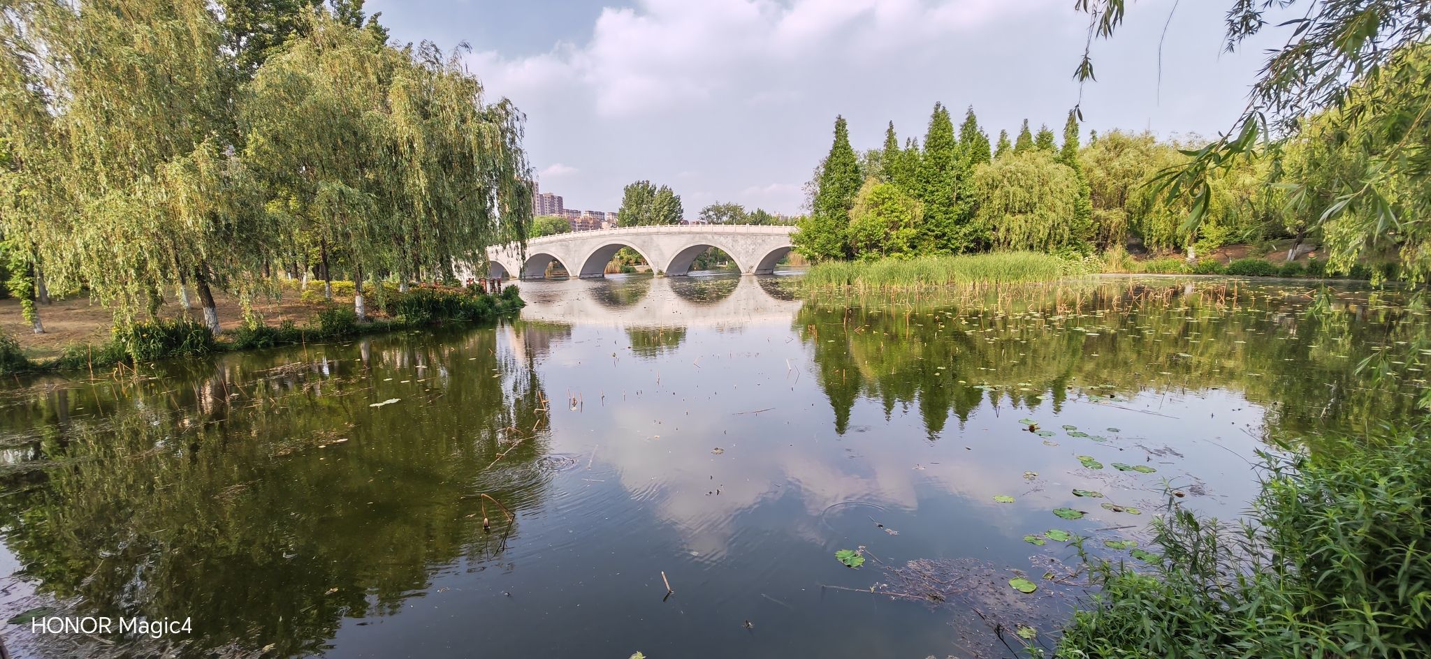龙潭公园旅行图片