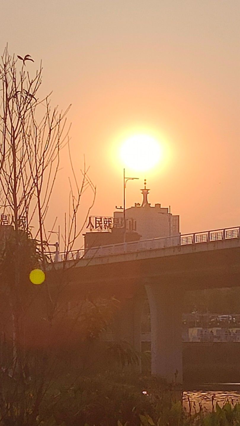 龙江岁月