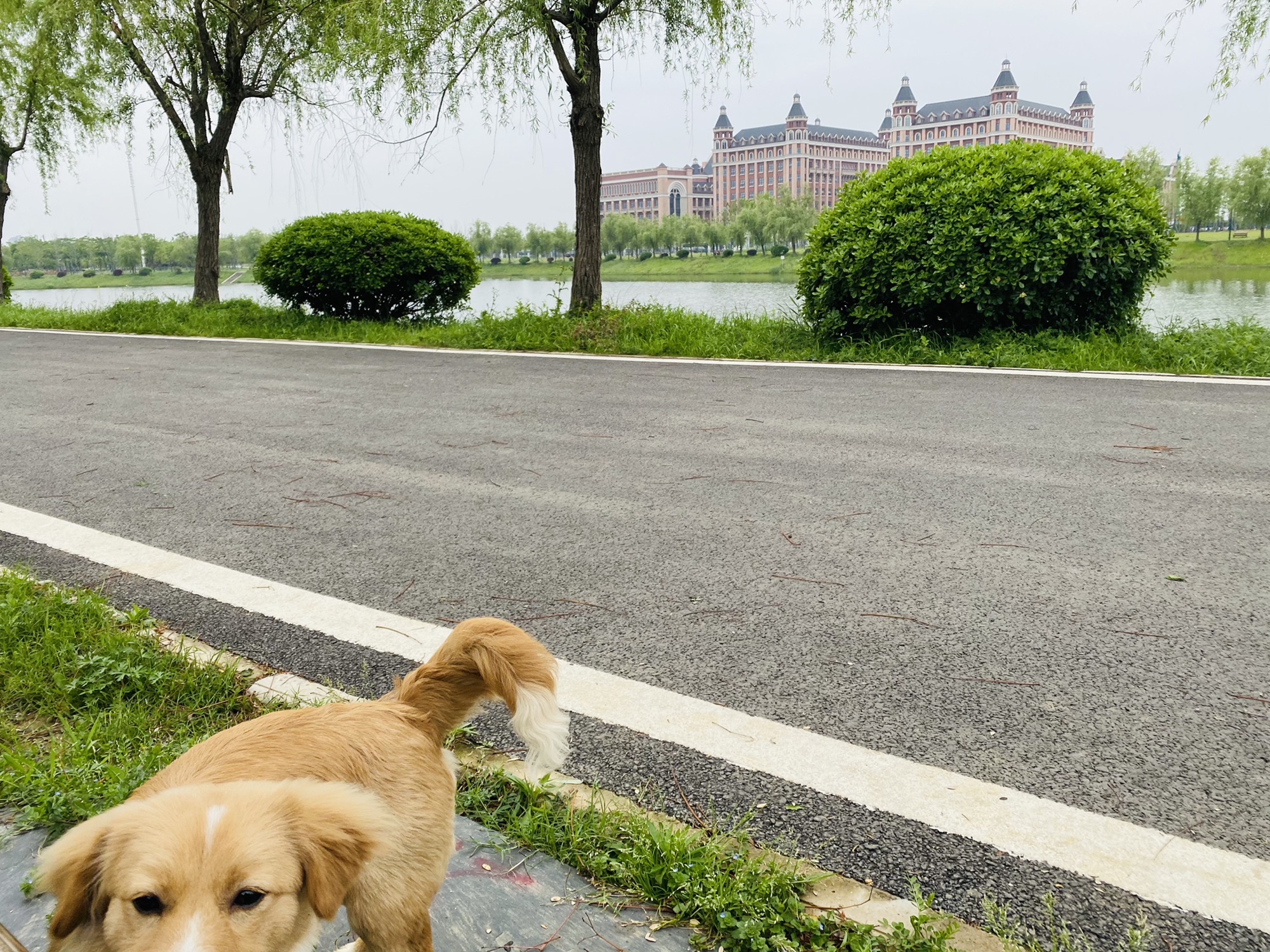 白马泾公园