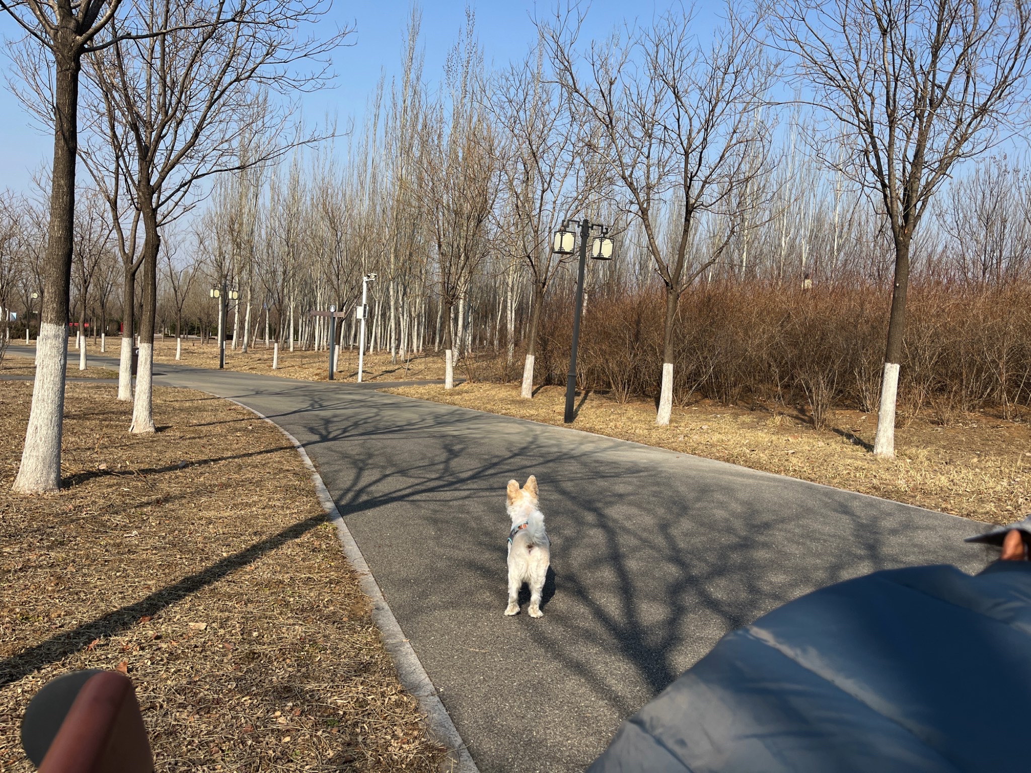 湿地公园旅行图片