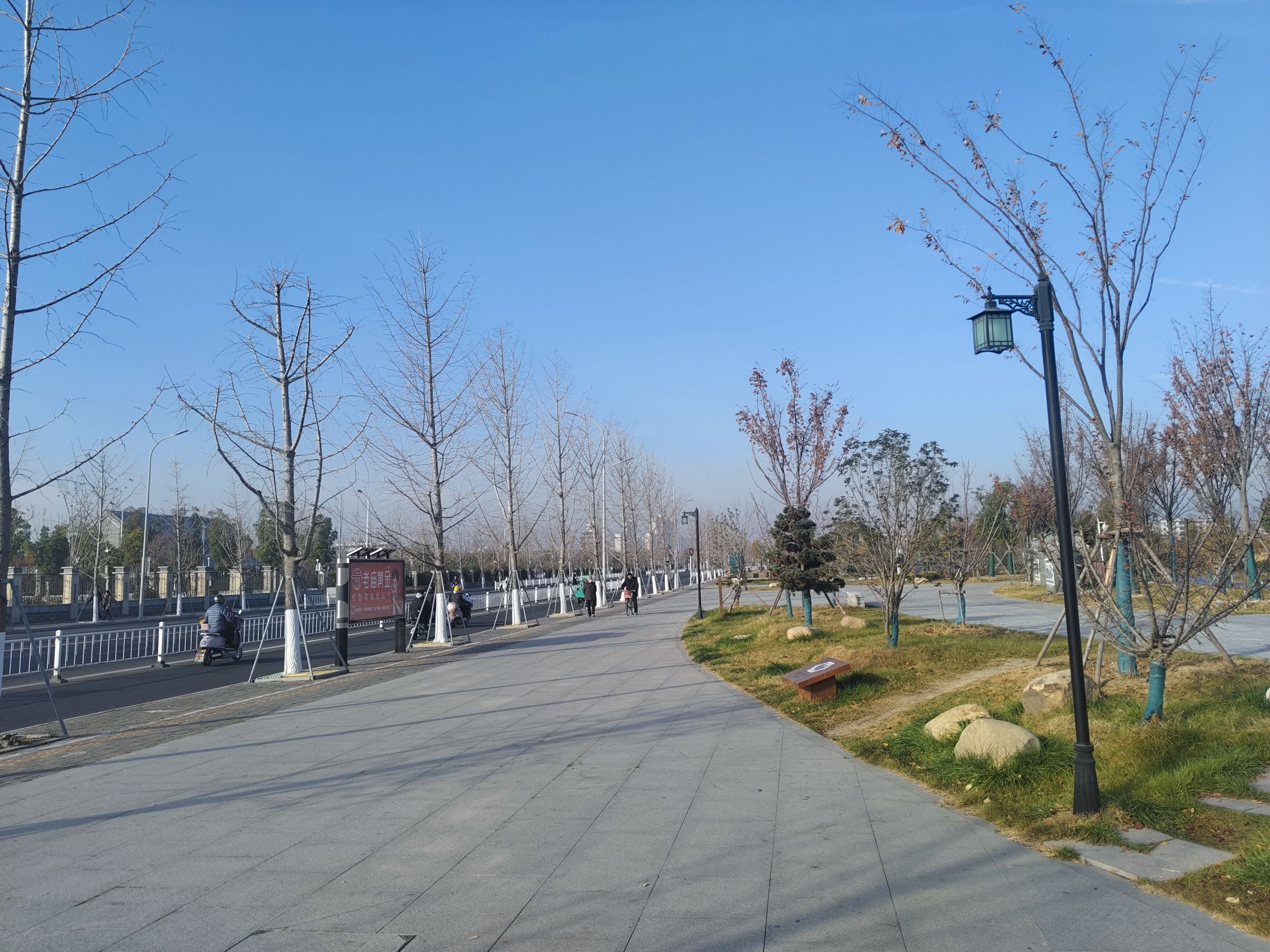 荷湖公园旅行图片