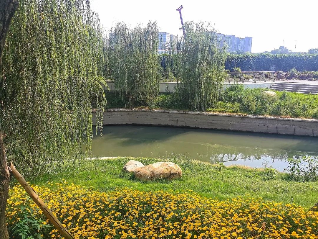 铁佛公园旅行图片