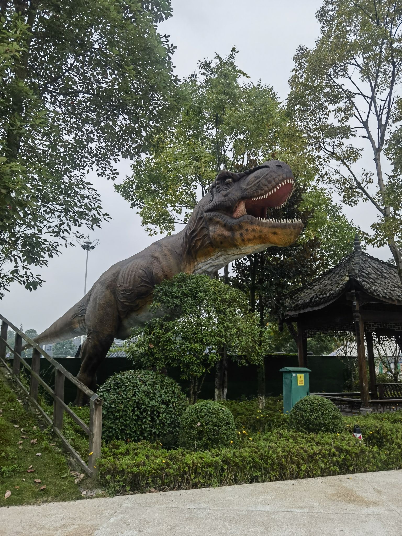 街子悠游岛旅行图片