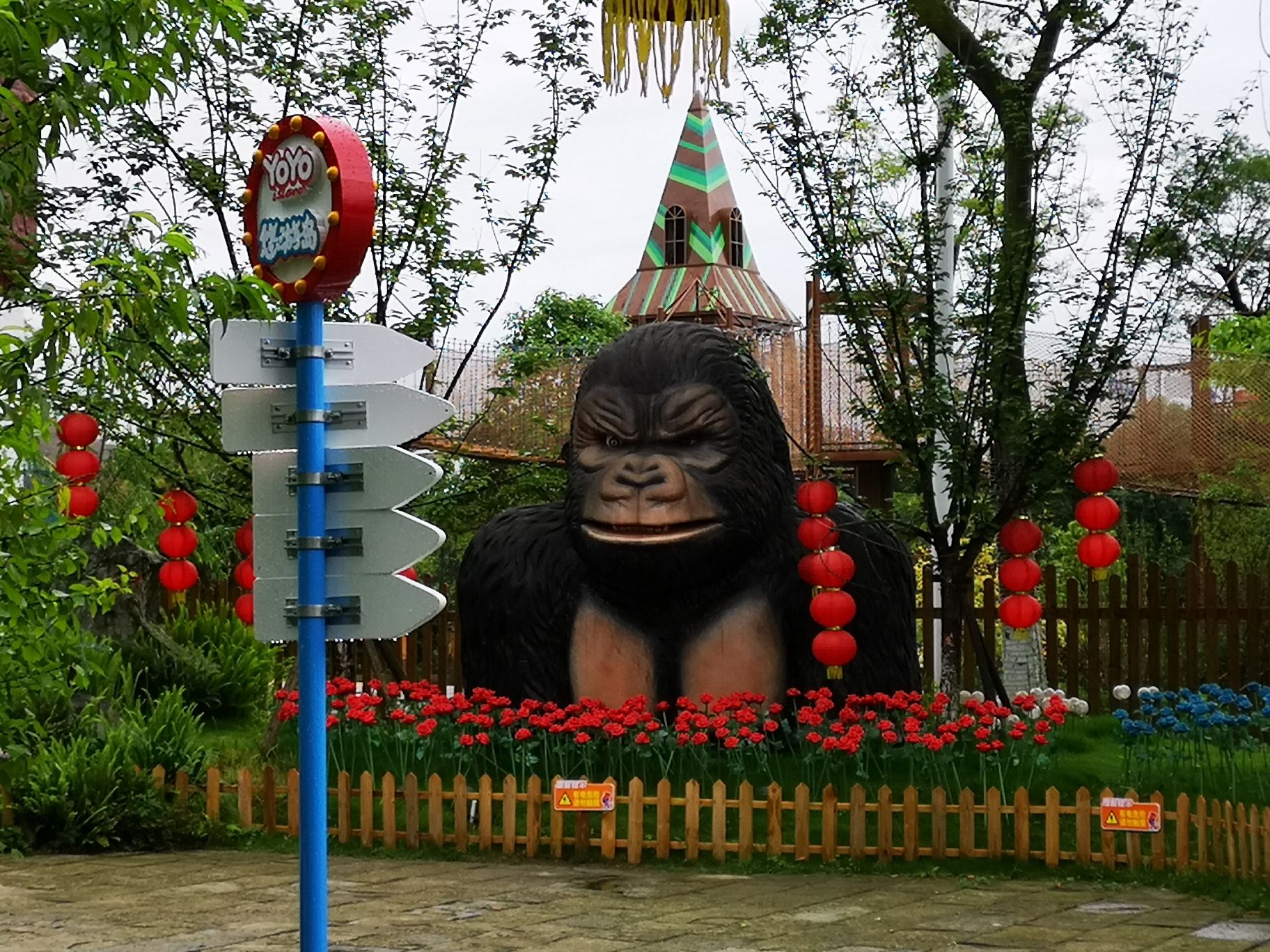 街子悠游岛旅行图片