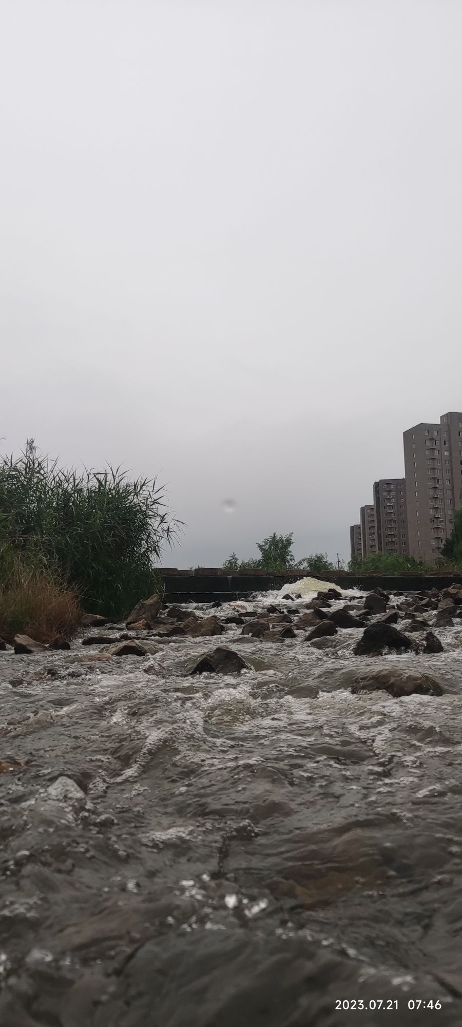 甘泉河湿地