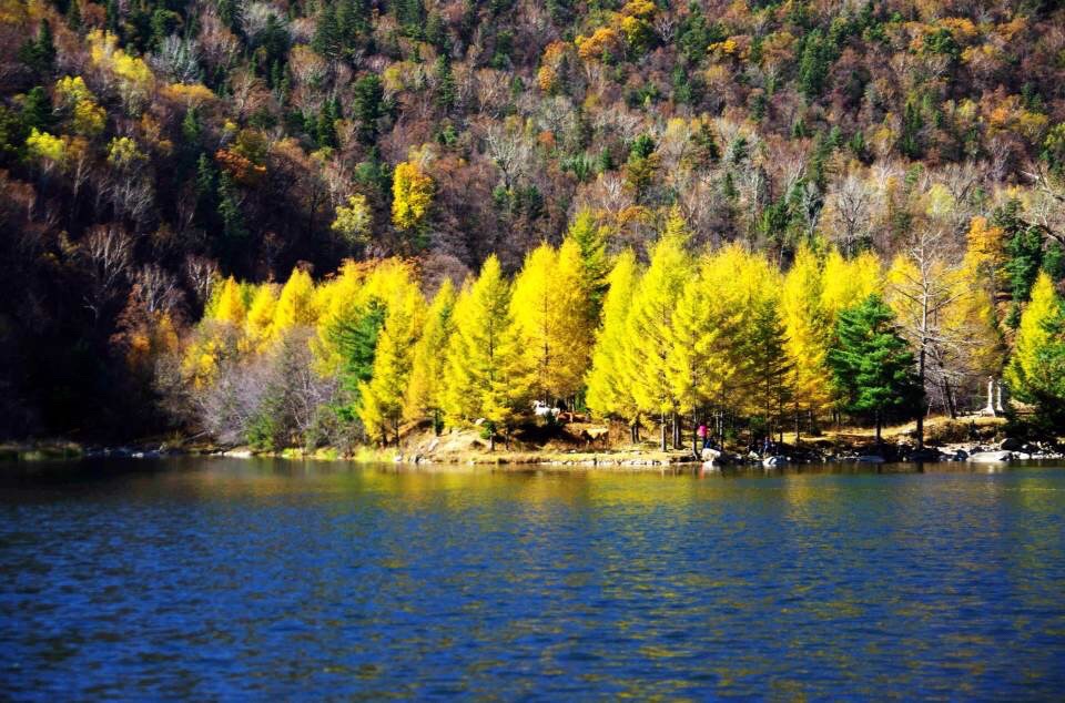 黑龙江画家村