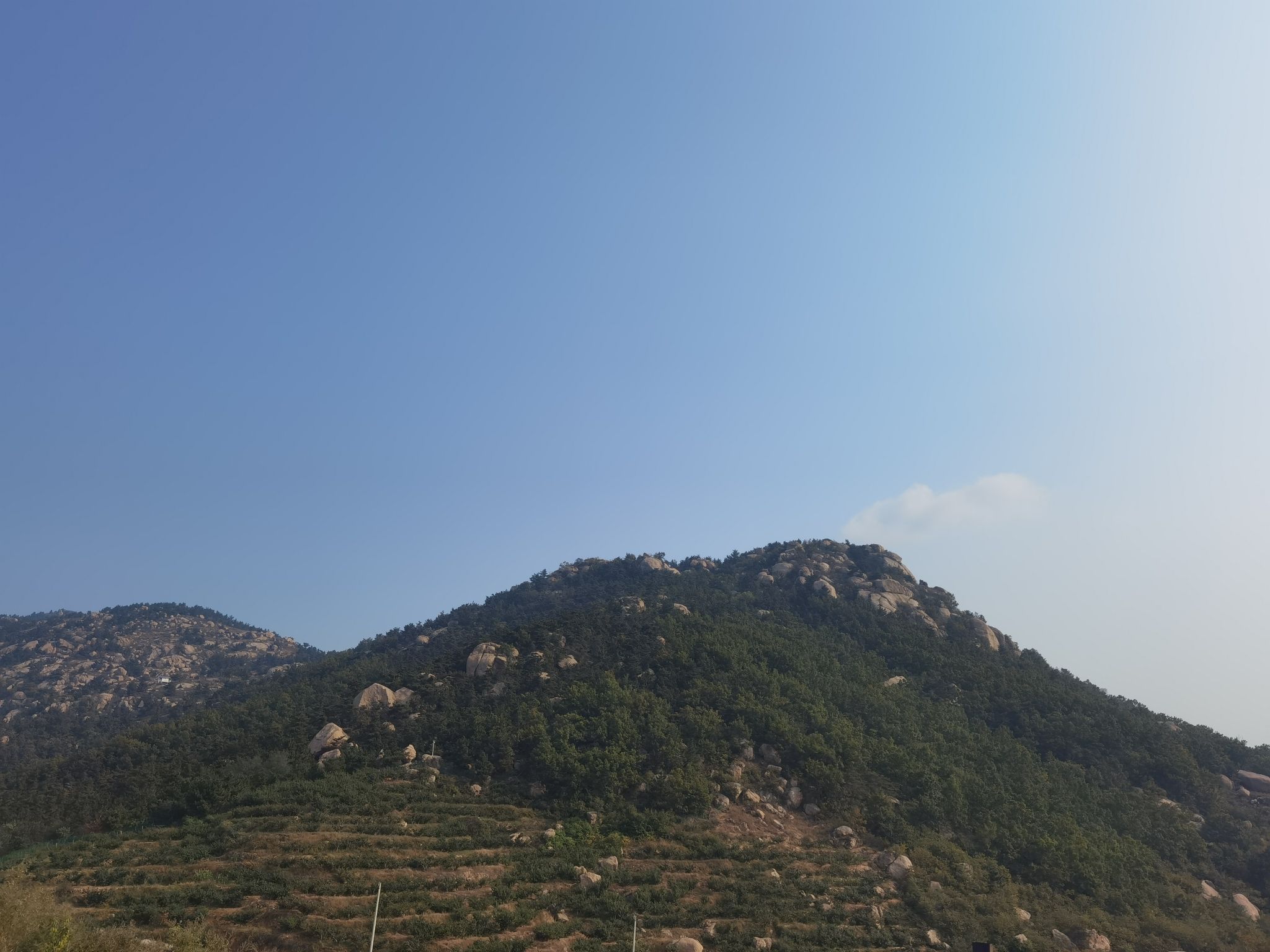 金马山森林公园