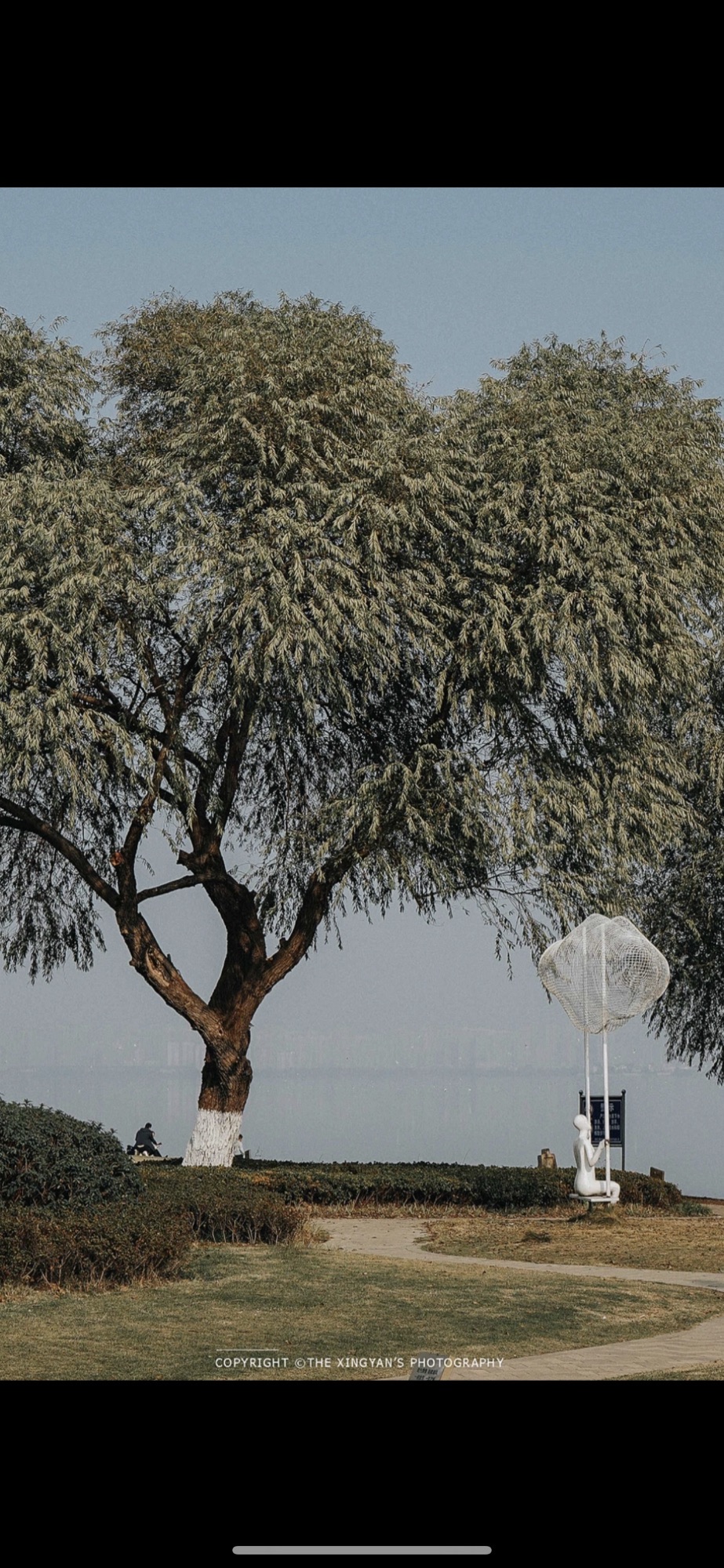 悦湖湿地公园