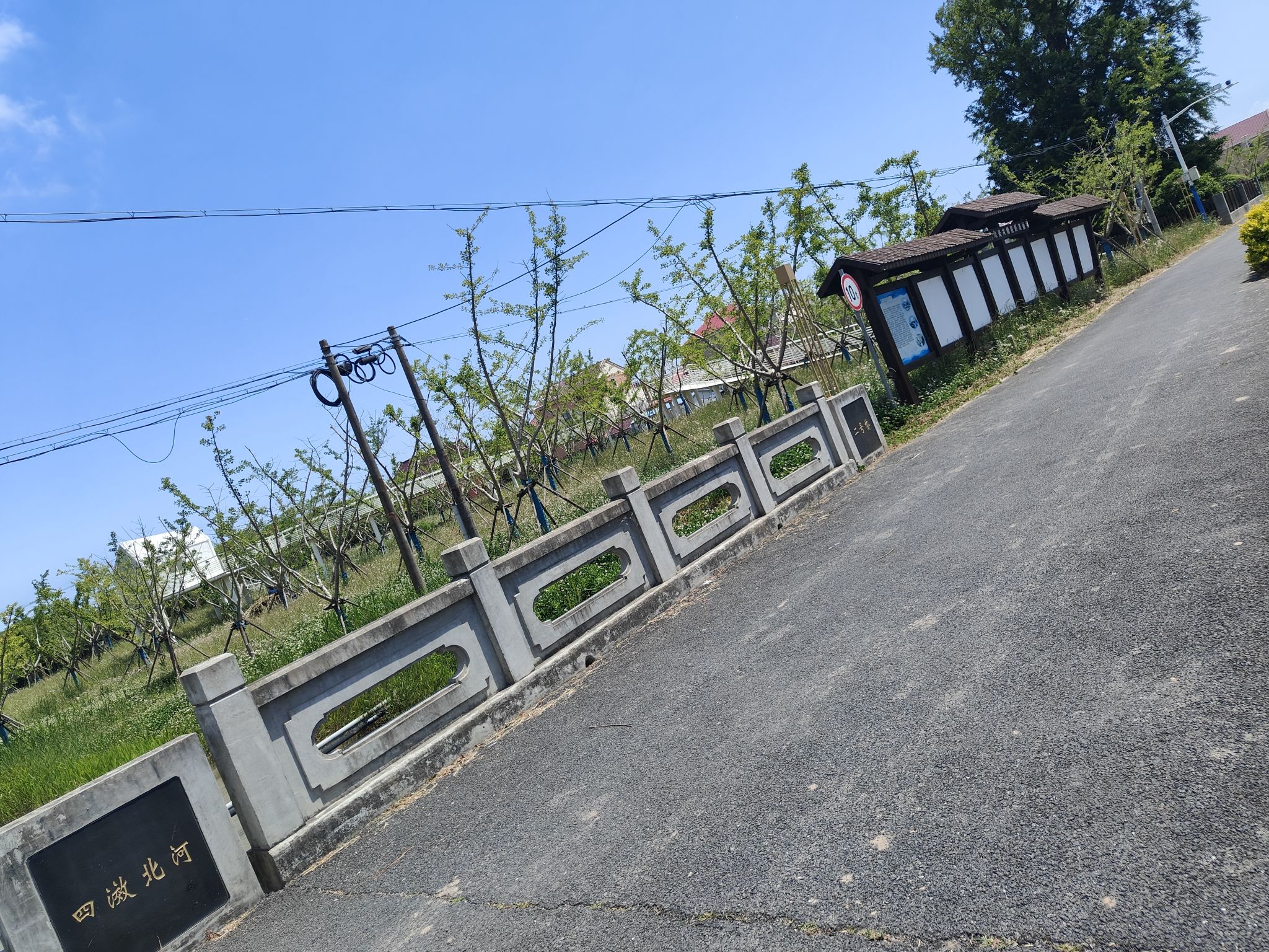 古银杏公园