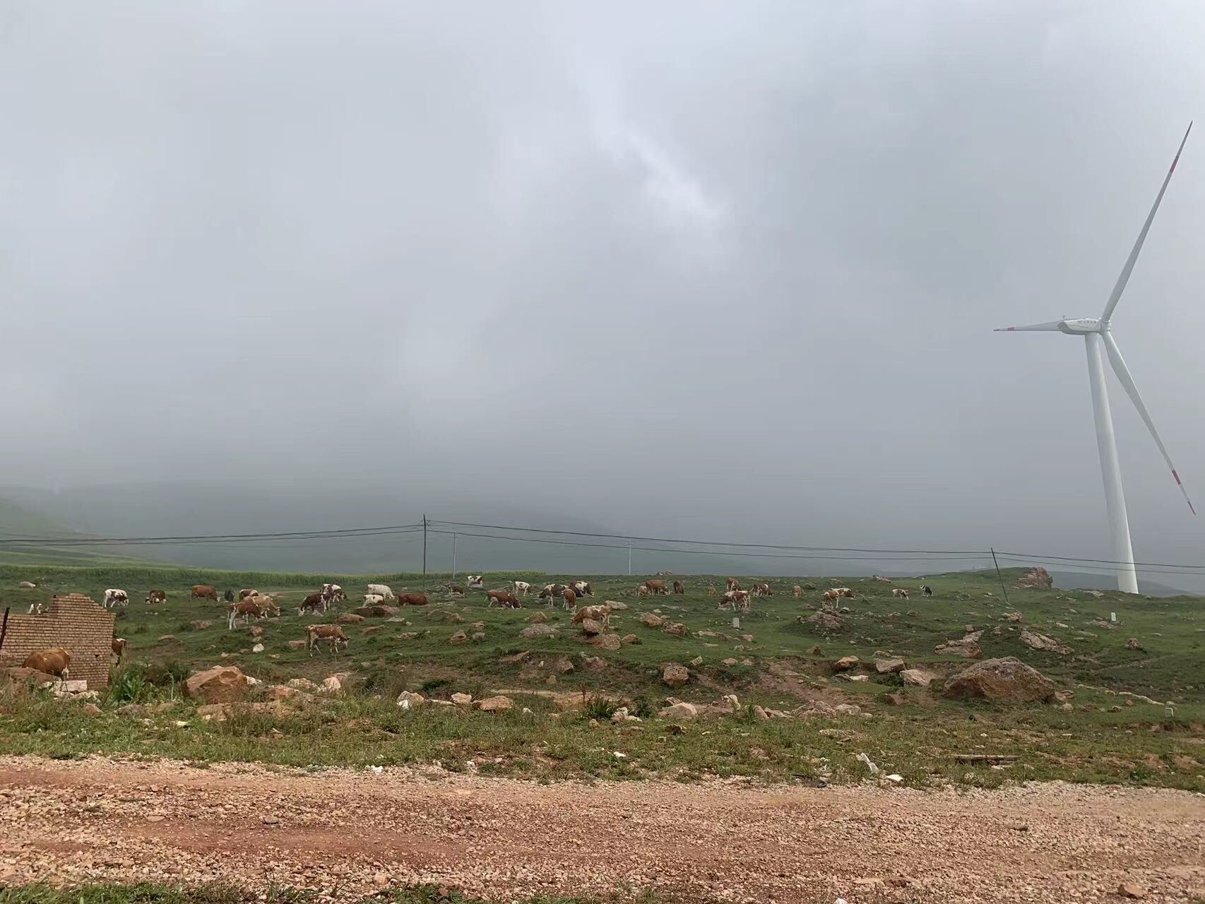 空中草原景区旅行图片