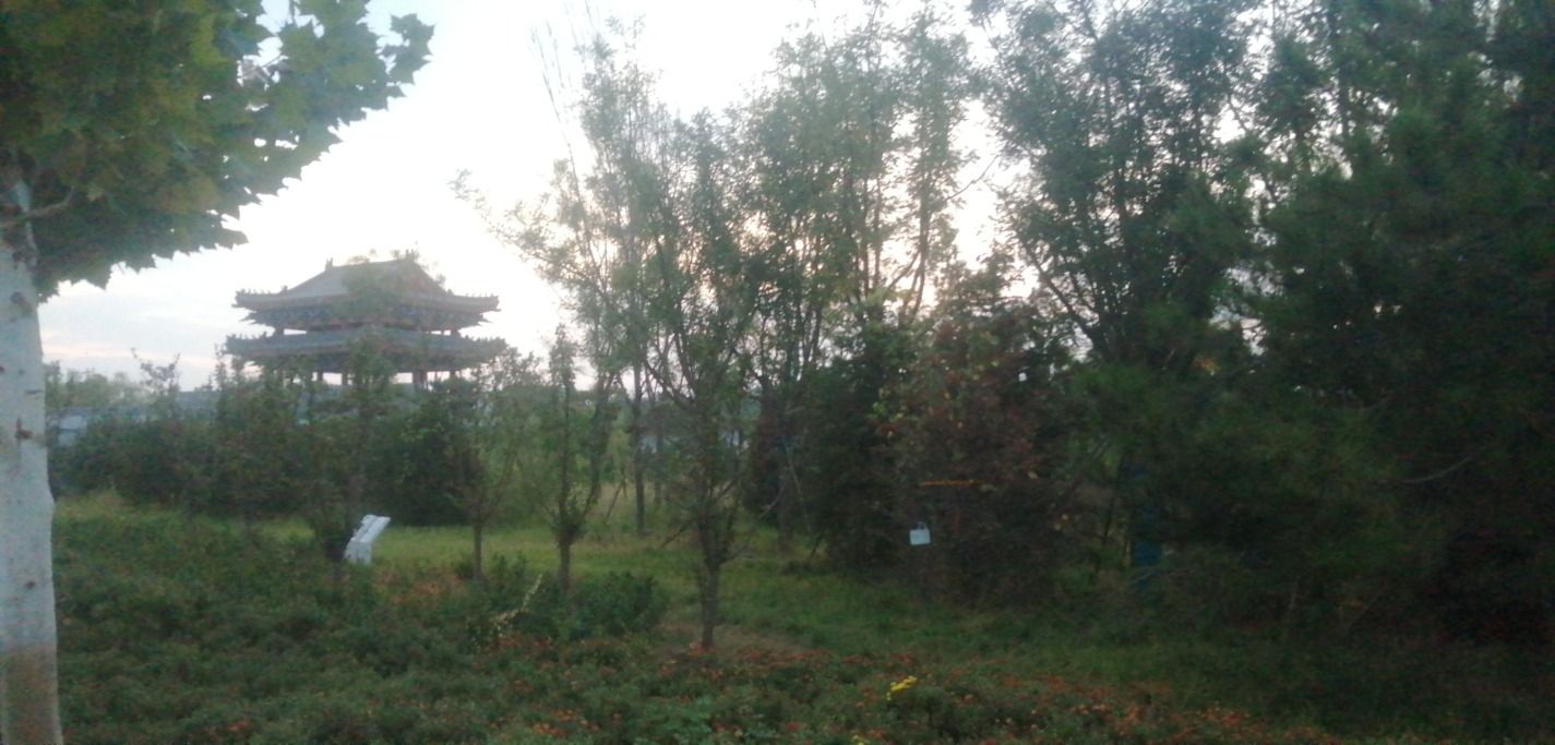 邯郸园