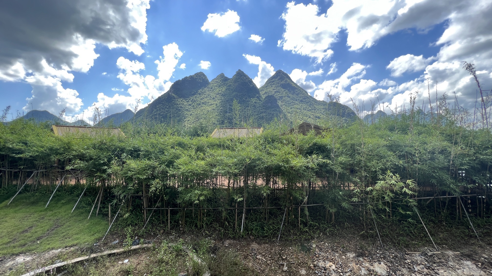 广西忻城乐滩国家湿地公园旅行图片