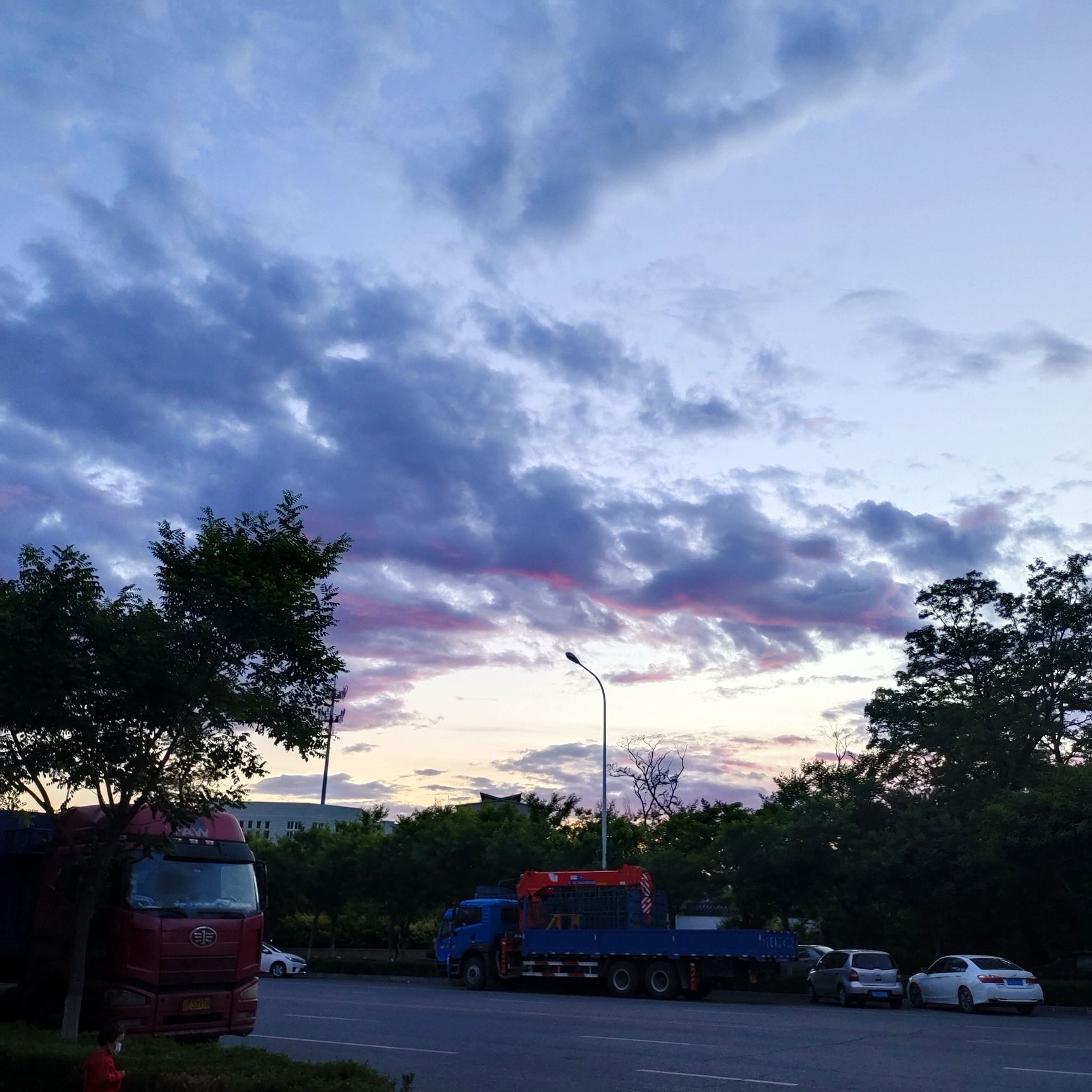 南山森林公园
