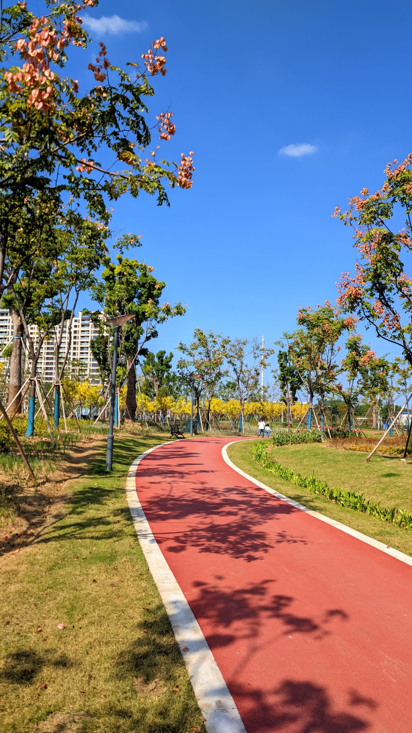 城铁片区森林公园