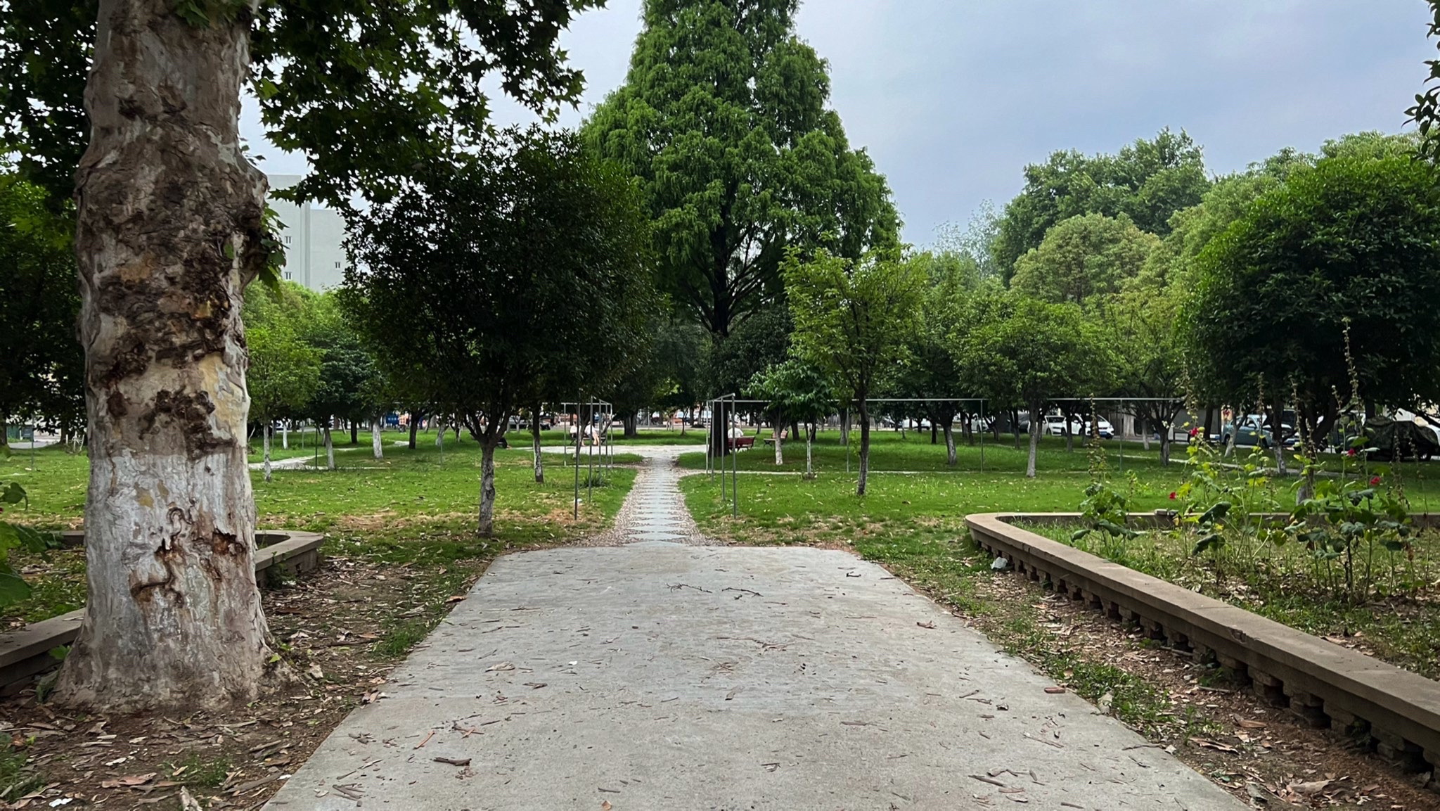 阜阳师范大学信息工程学院-公园