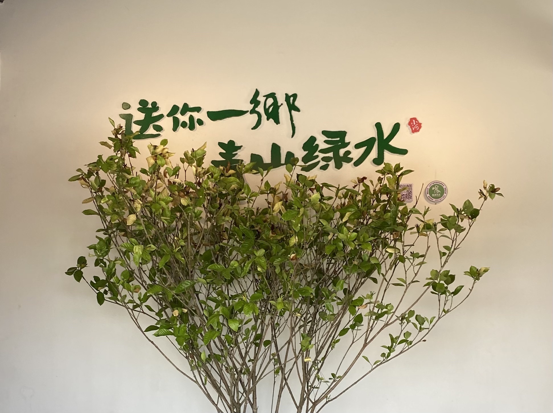 画里小河·网红鱼鳞坝
