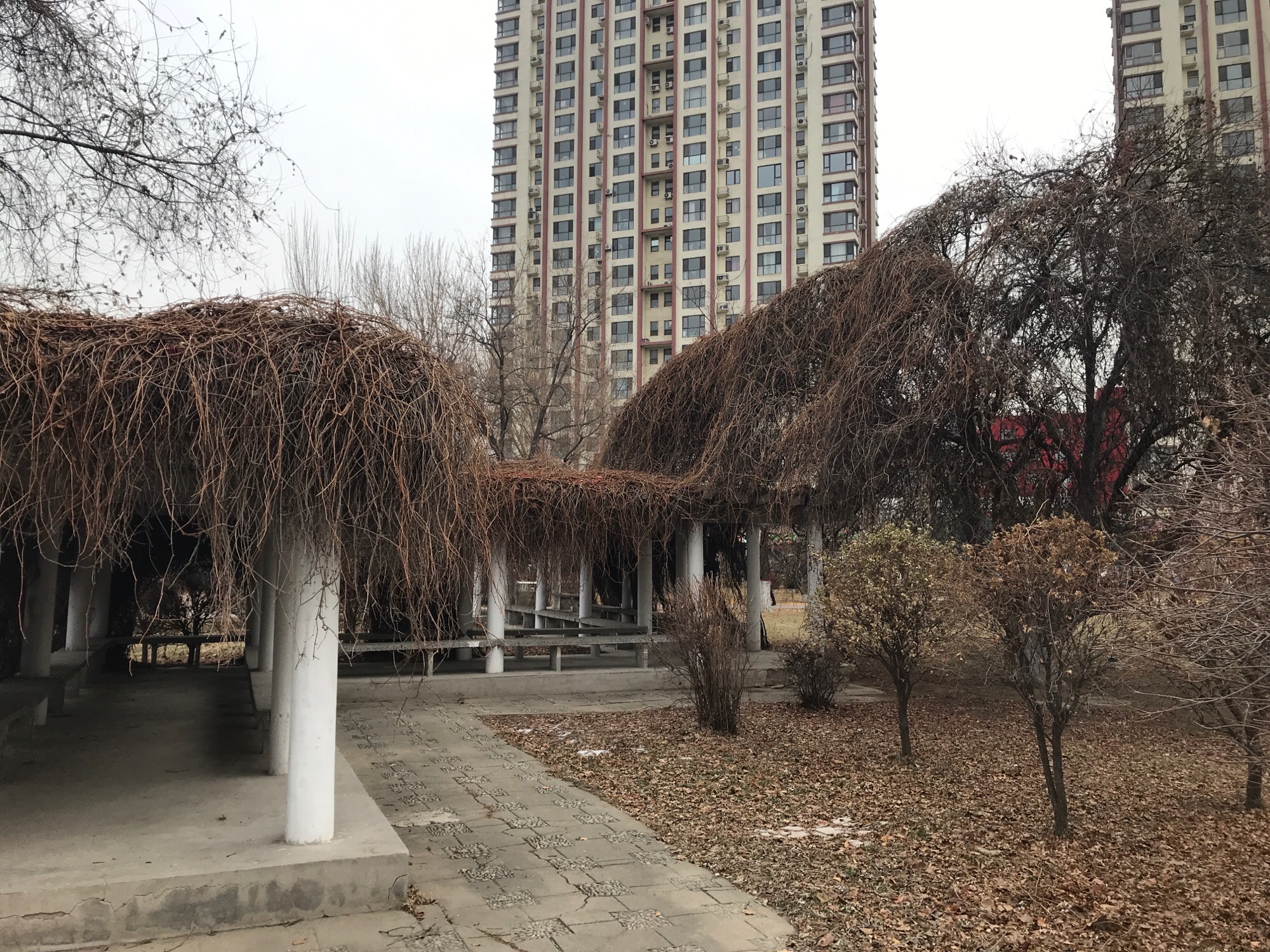 中关村公园