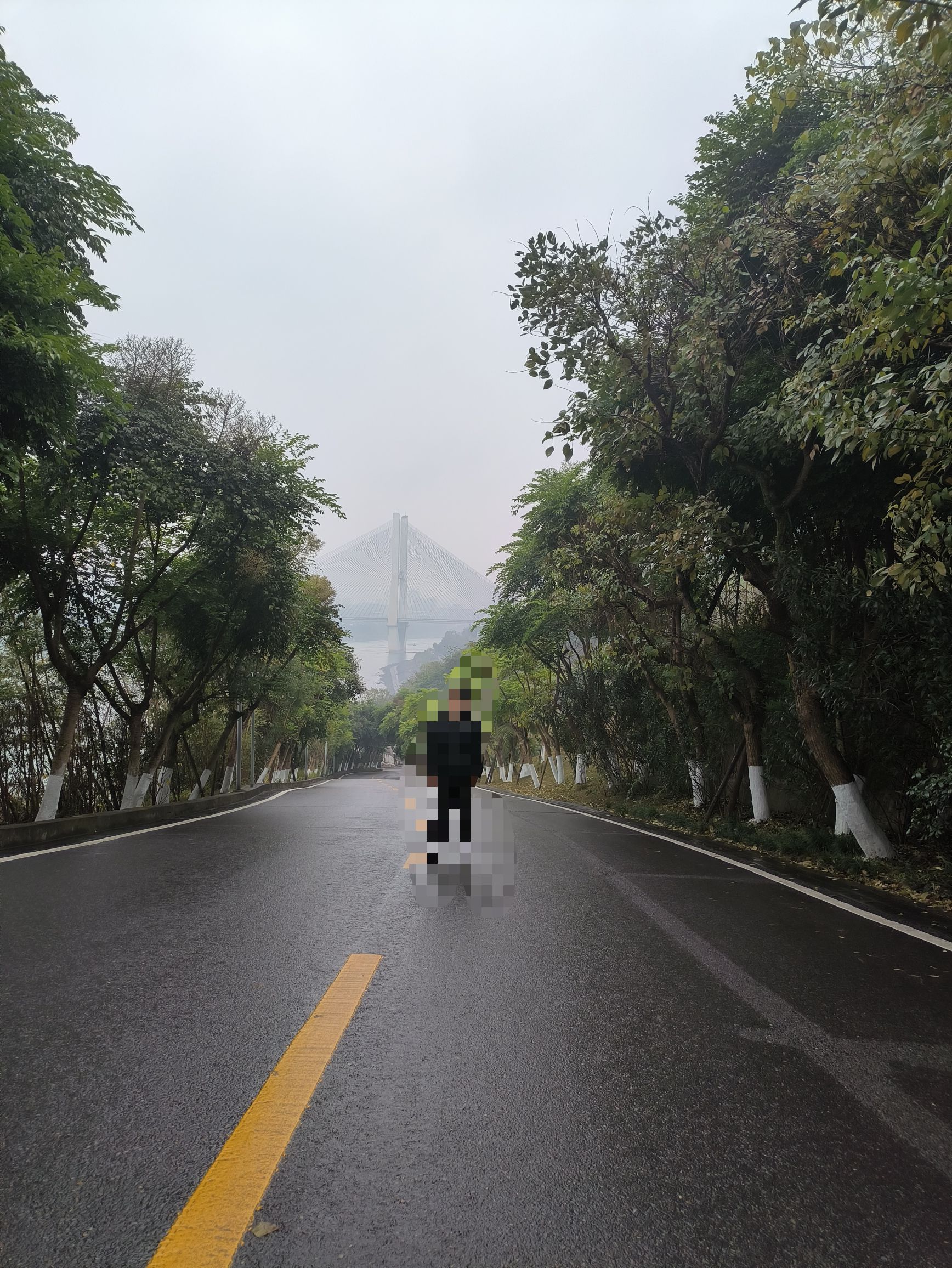 丽雅公园