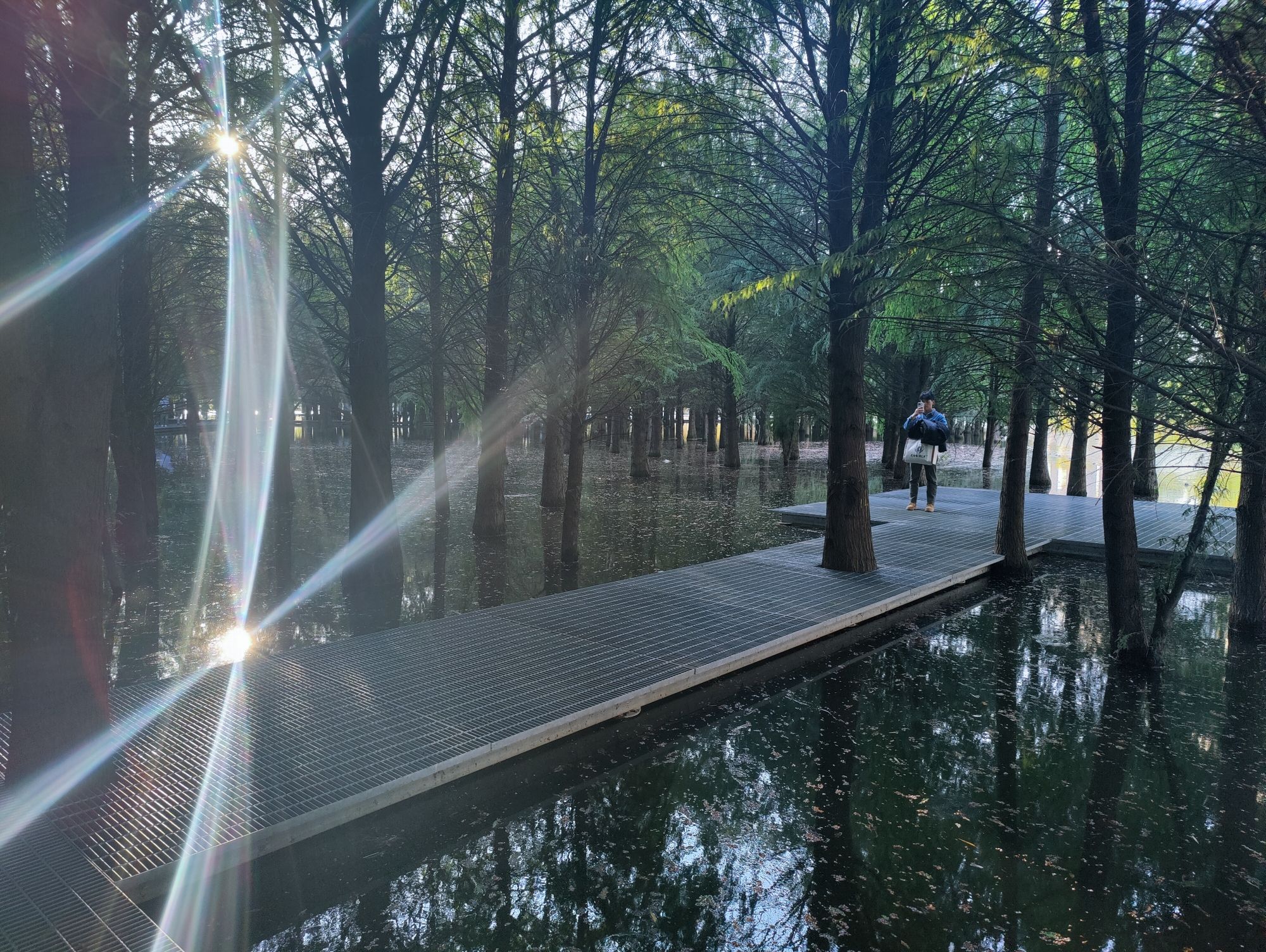 朱家桥尾水净化生态公园旅行图片