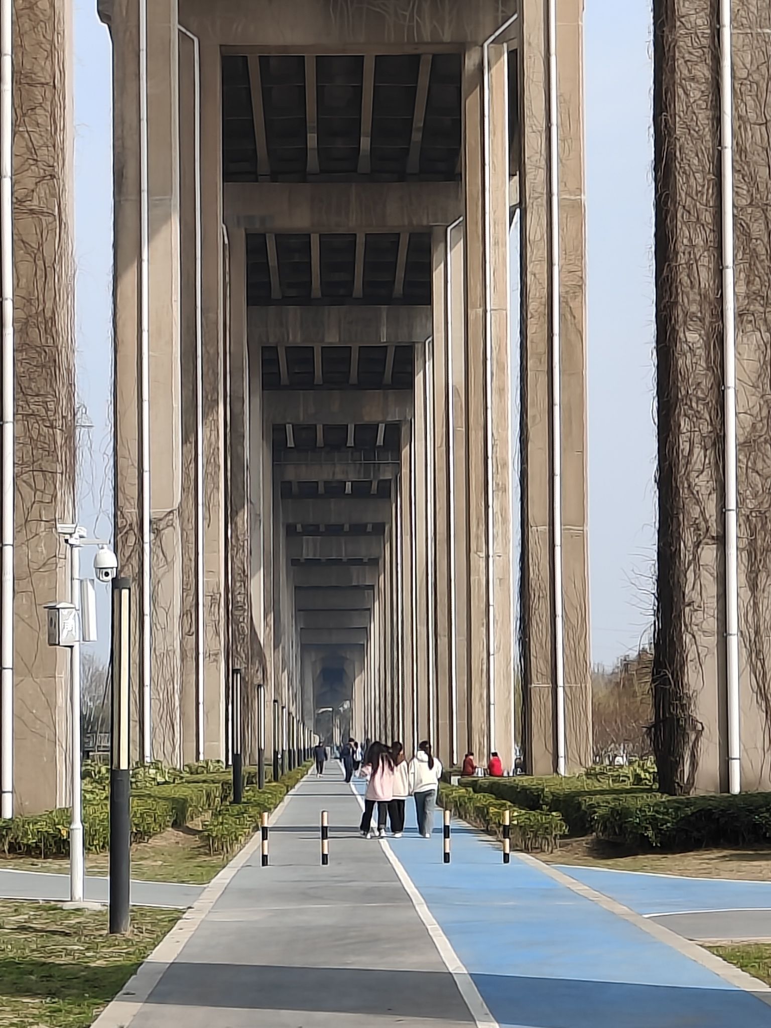 朱家桥尾水净化生态公园旅行图片