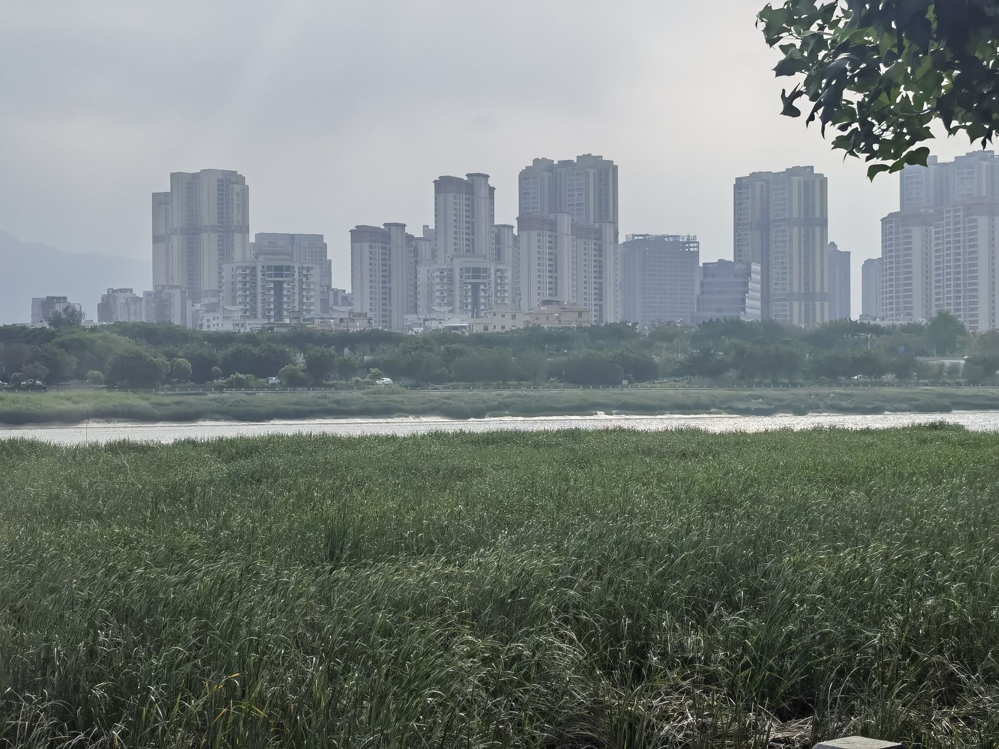 北滨江公园笋浯园