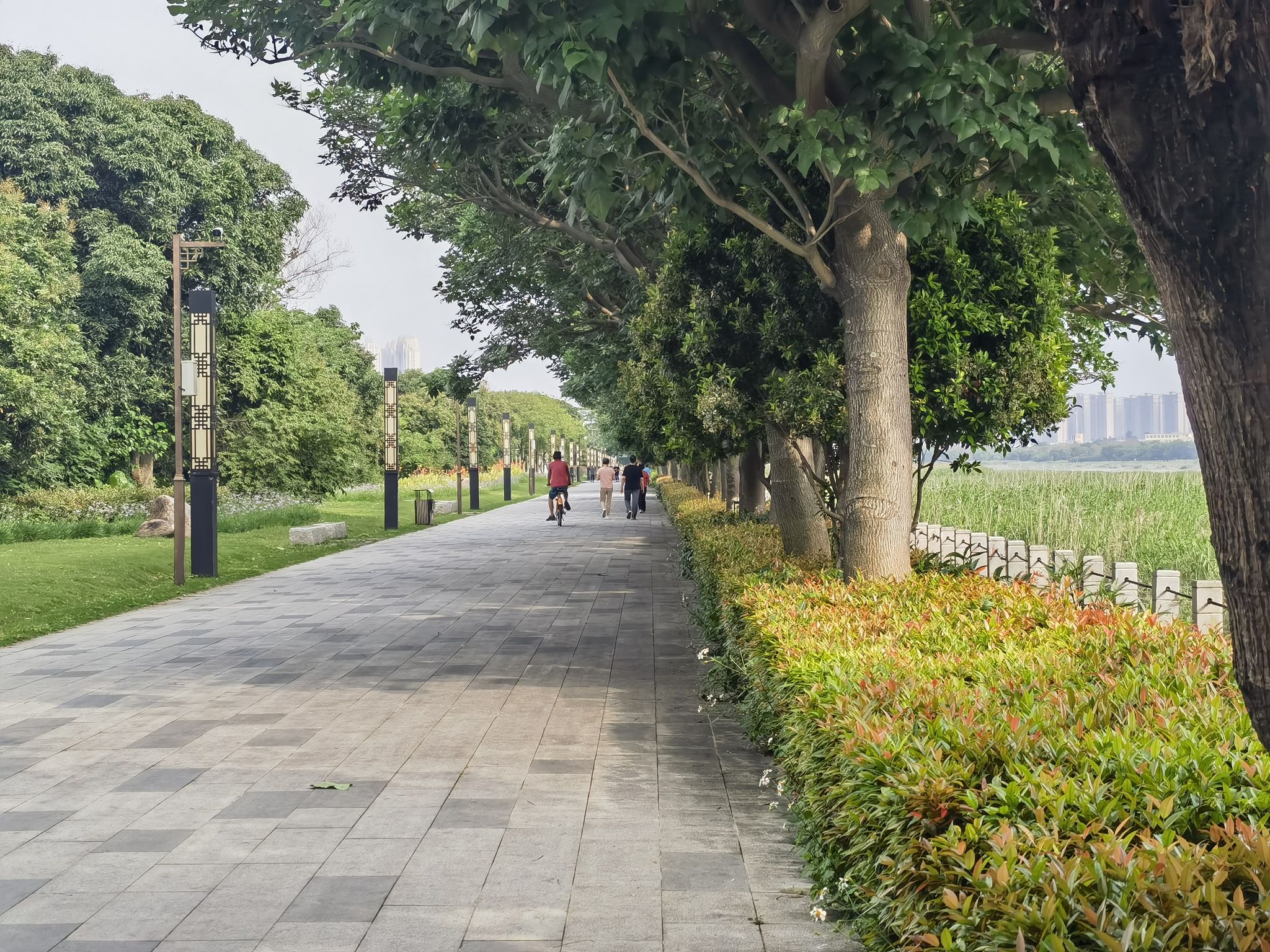 北滨江公园笋浯园旅行图片