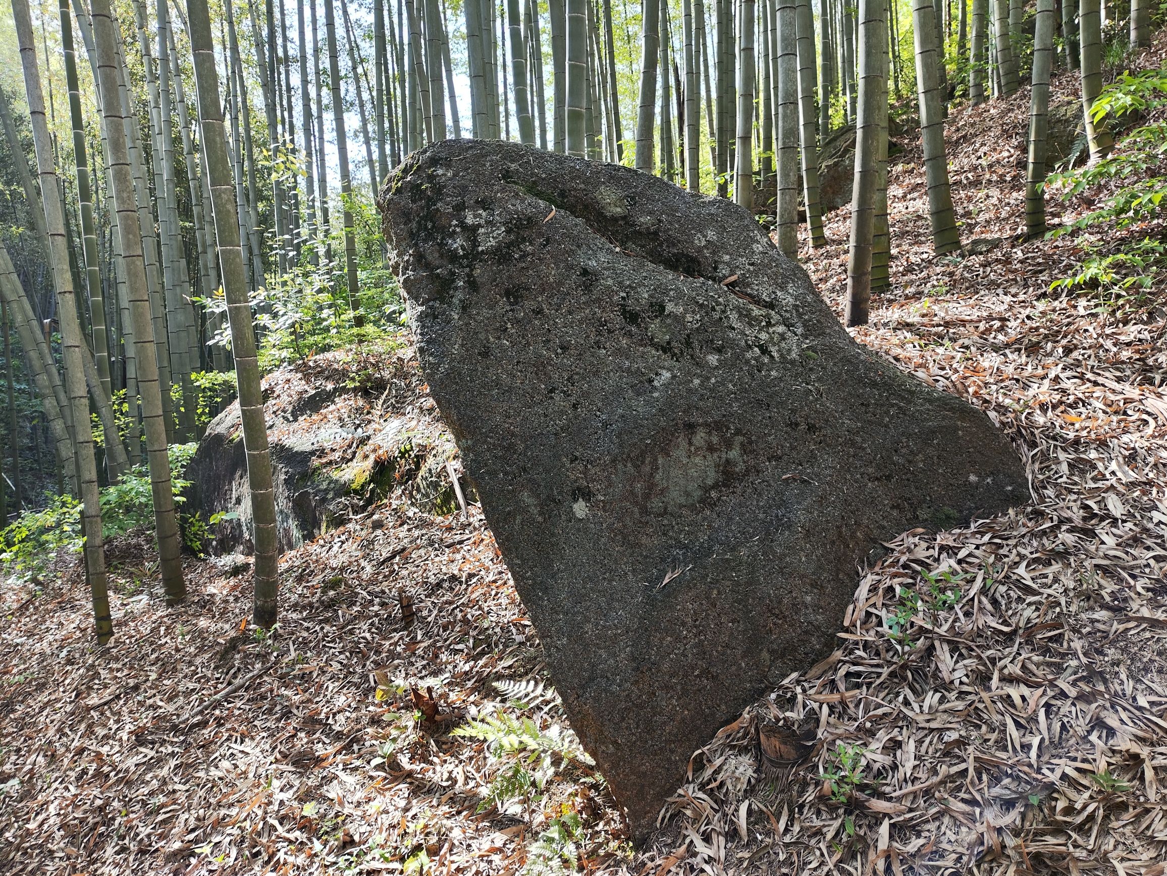 董岭关天然风景区旅行图片