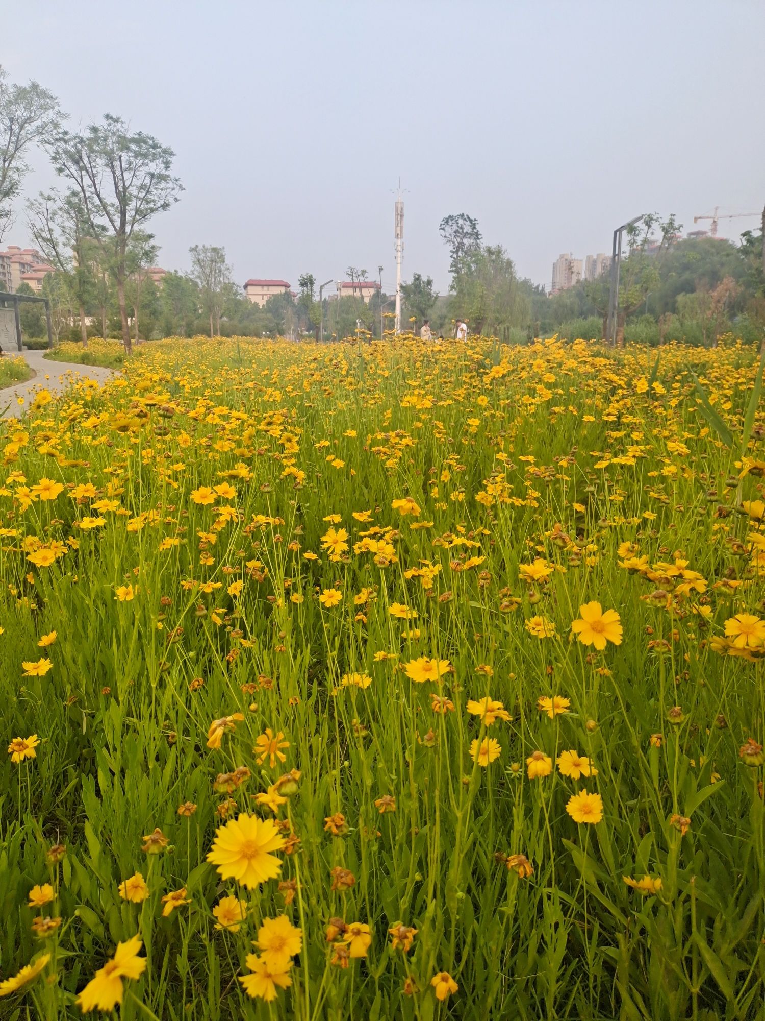 甜湖公园