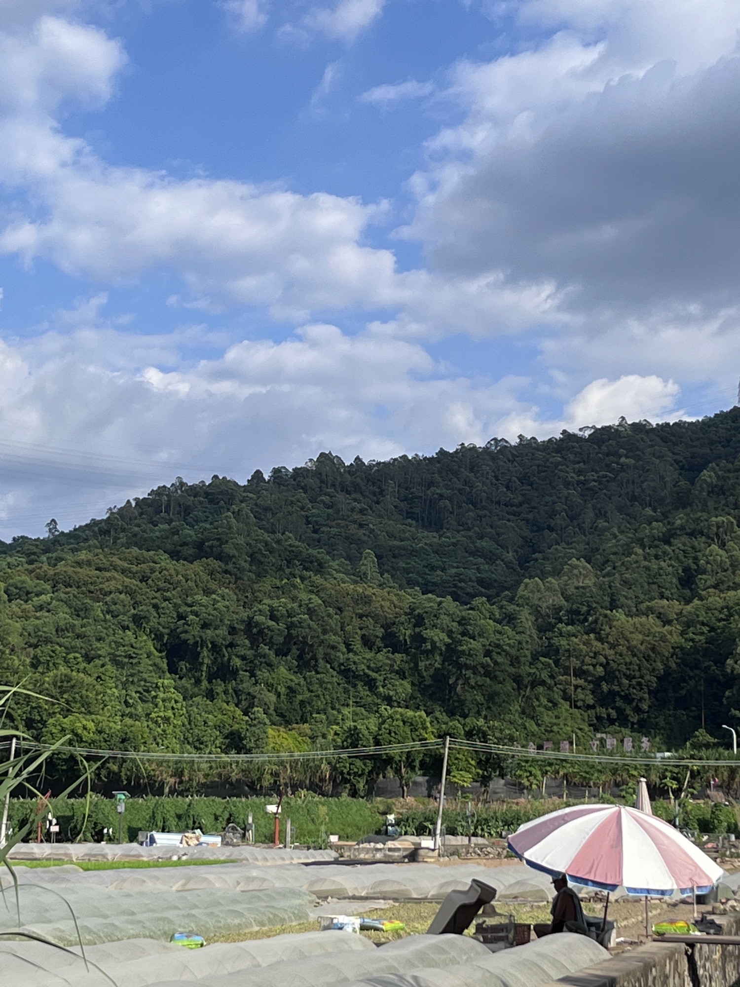 洪田火山公园