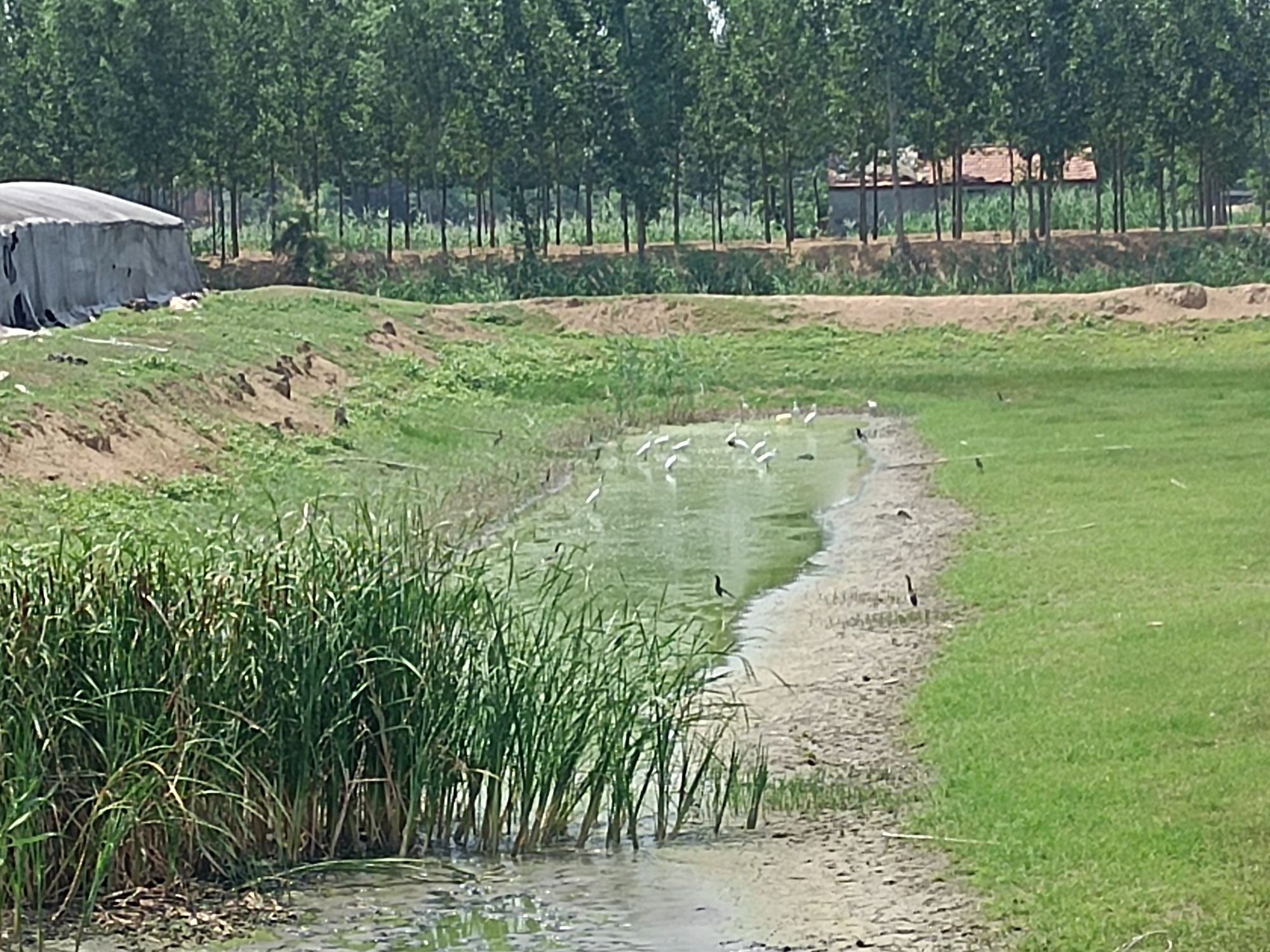 苏家村文化广场