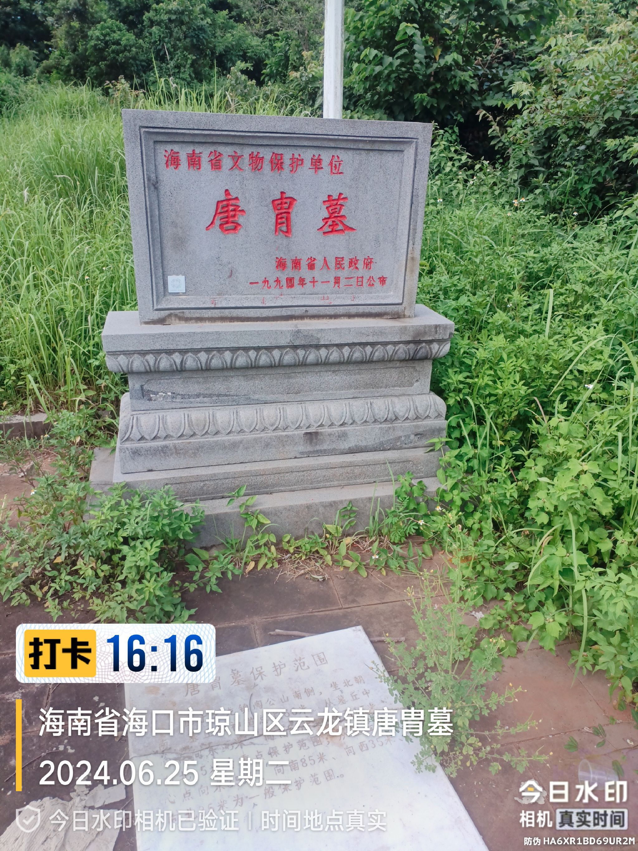 唐胄墓旅行图片