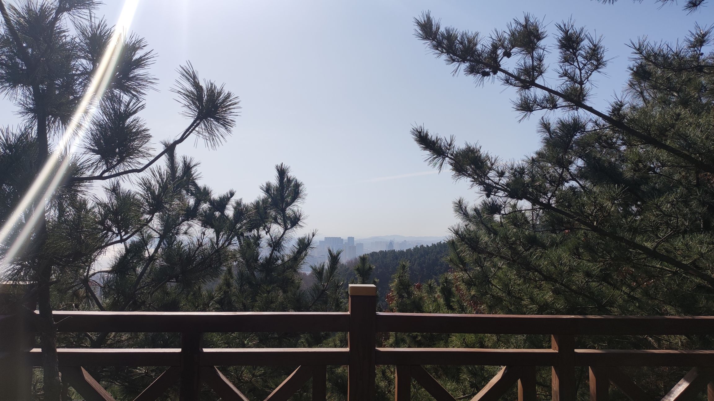 烟台市岱王山公园旅行图片