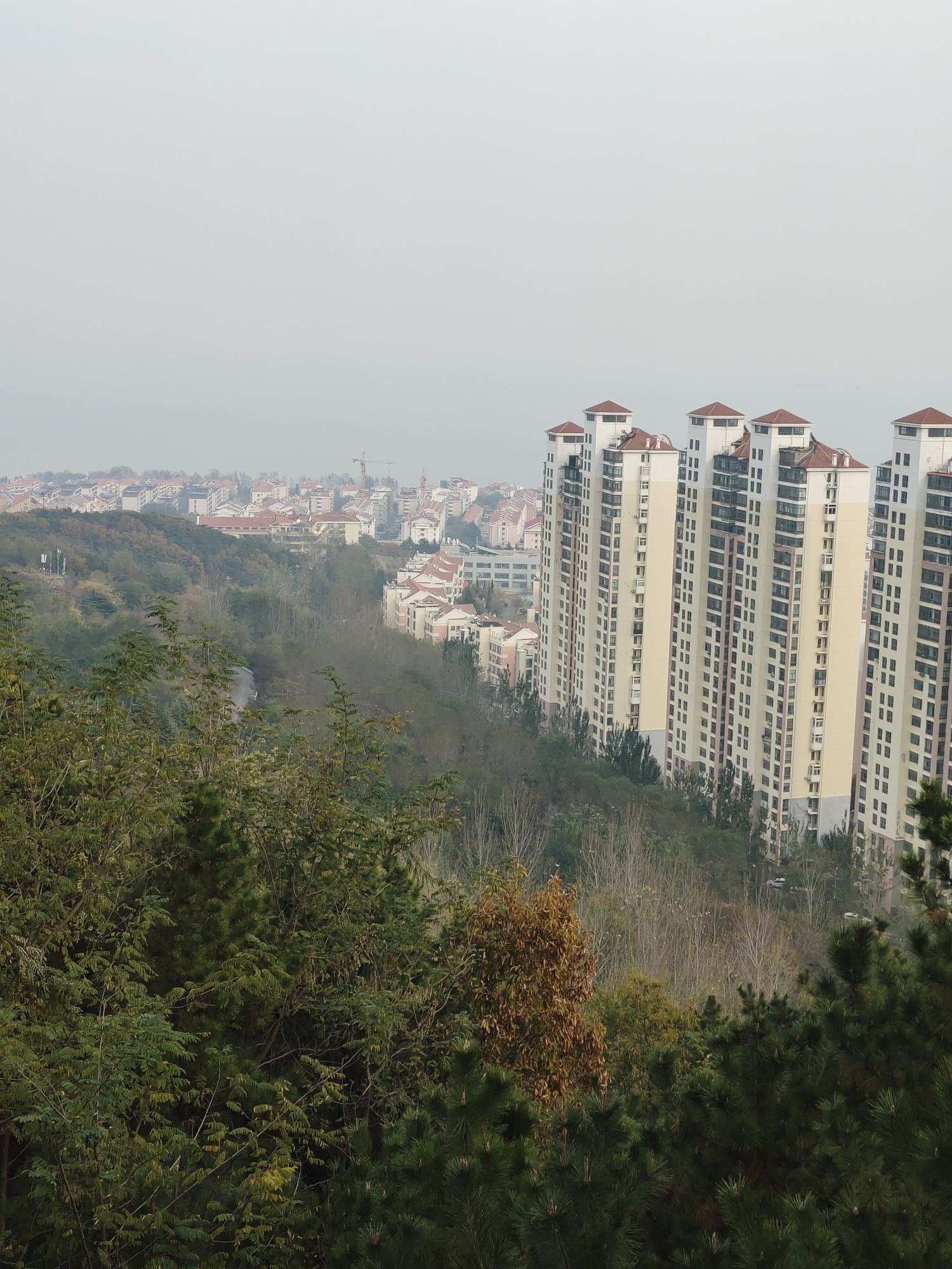 烟台市岱王山公园旅行图片