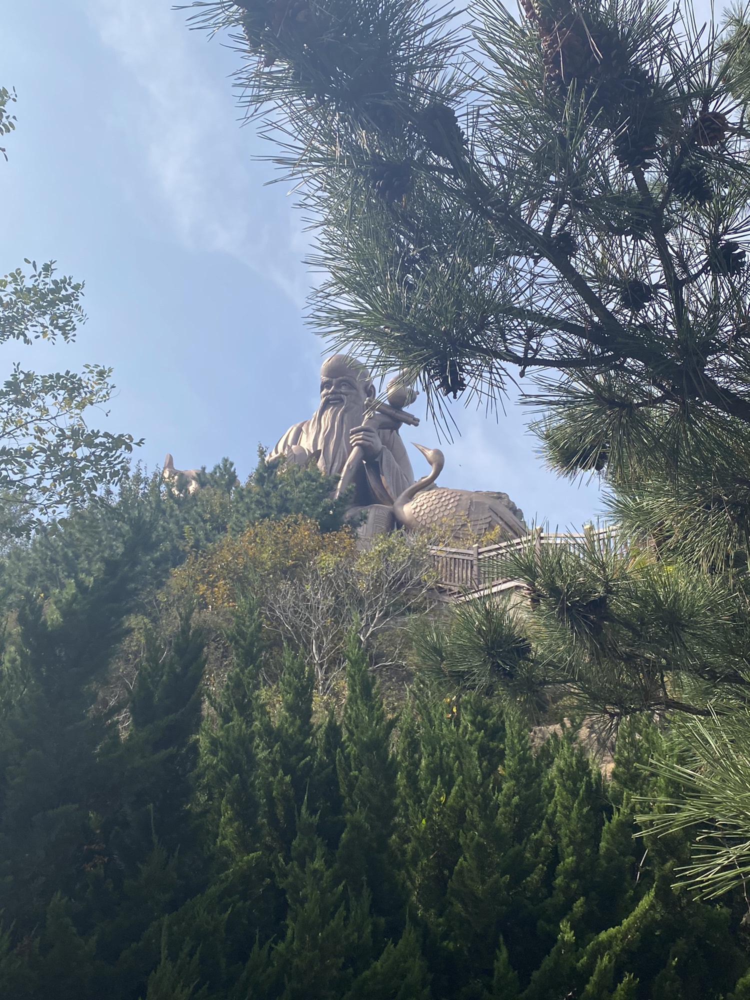 烟台市岱王山公园旅行图片