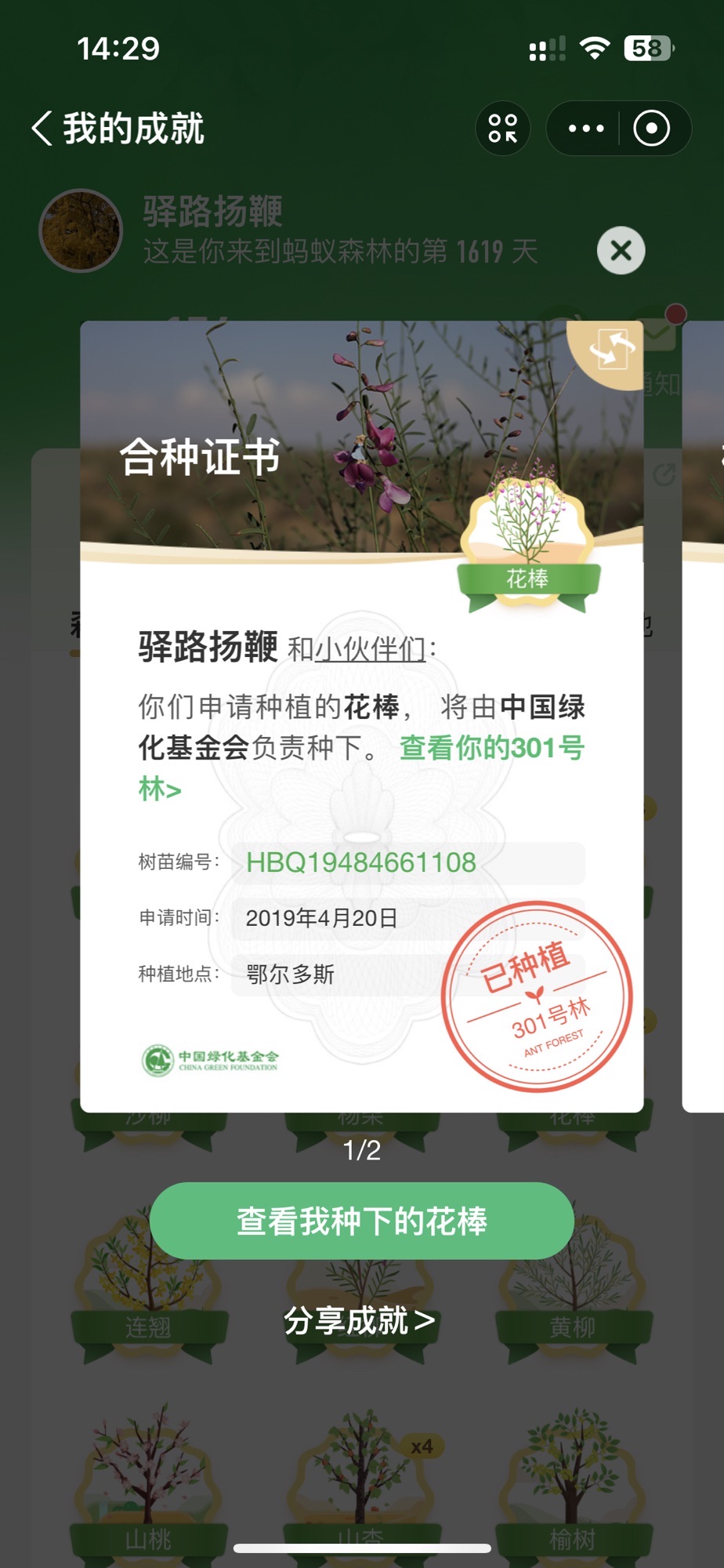 蚂蚁森林301号林·花棒