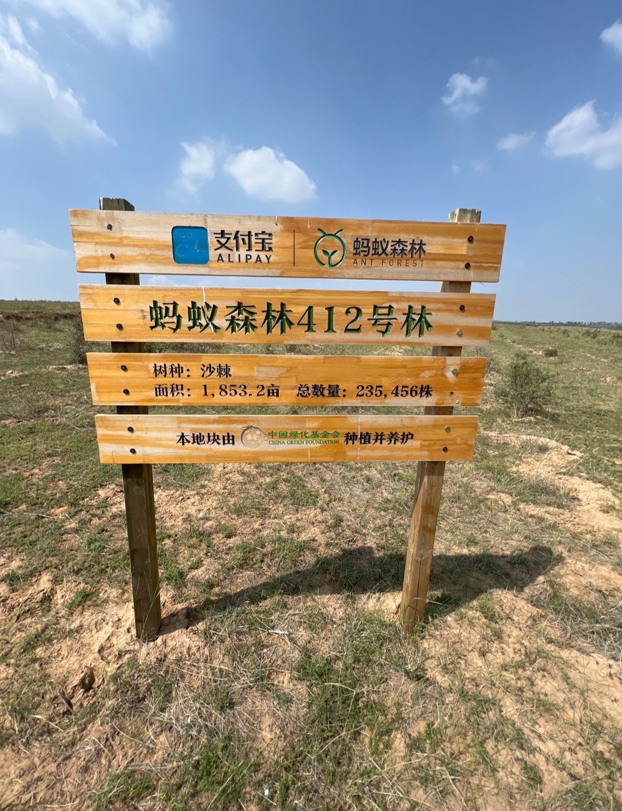蚂蚁森林412号林·沙棘