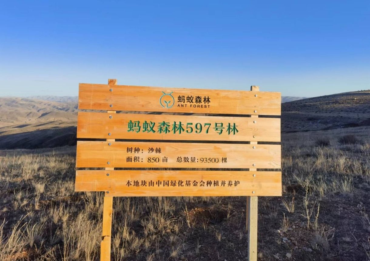 蚂蚁森林597号林·沙棘