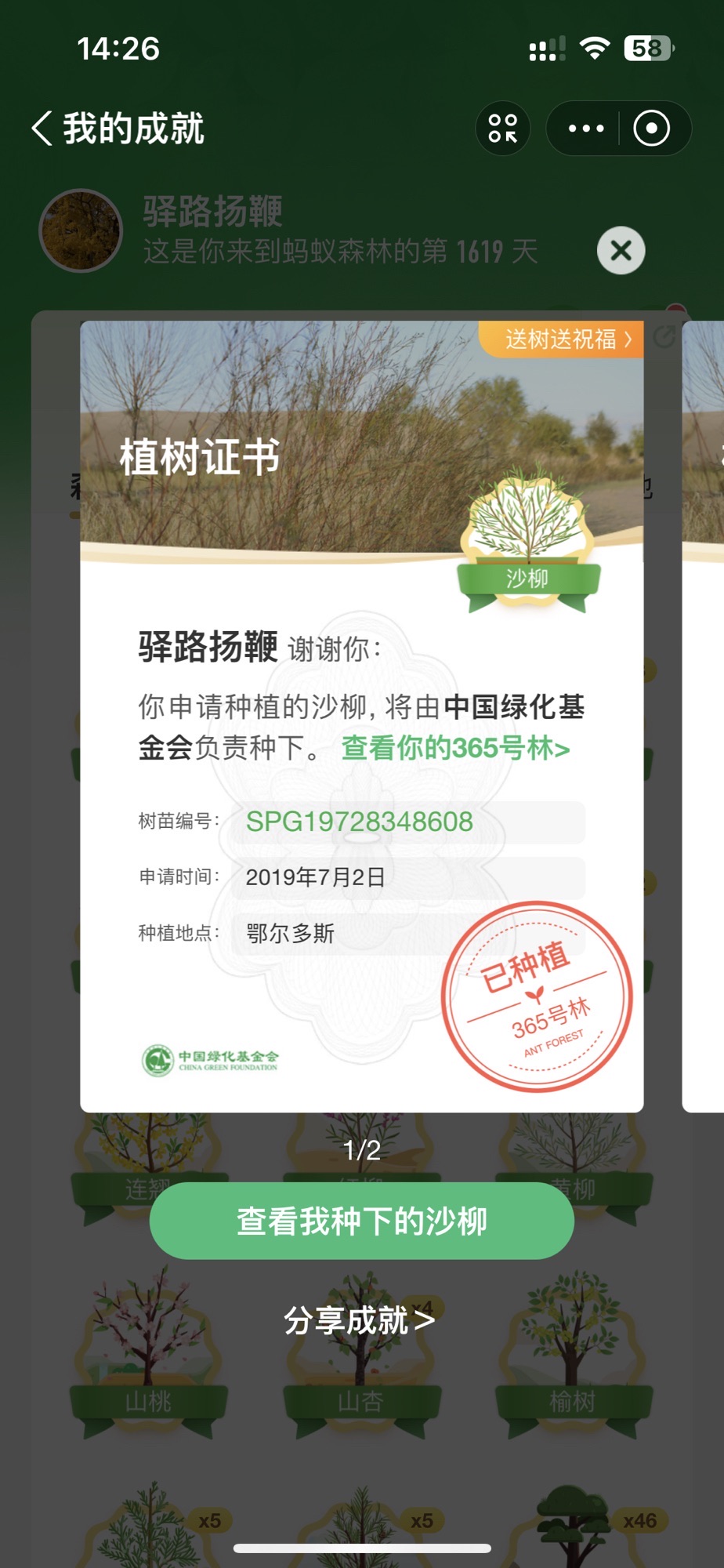 蚂蚁森林365号林·沙柳