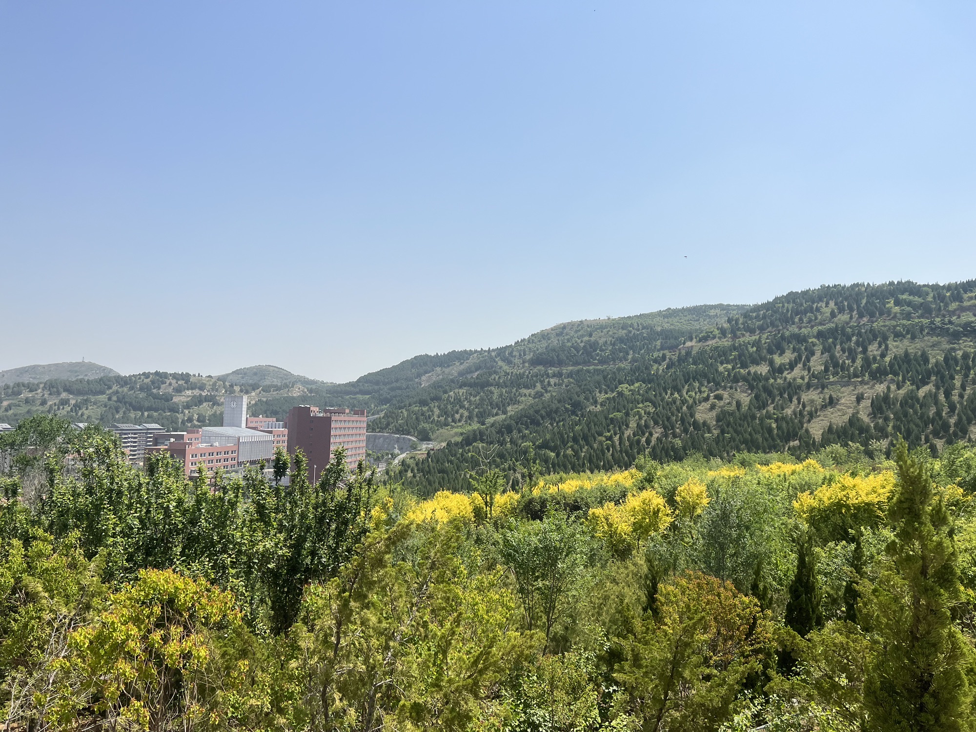 拖缰岭山体公园旅行图片
