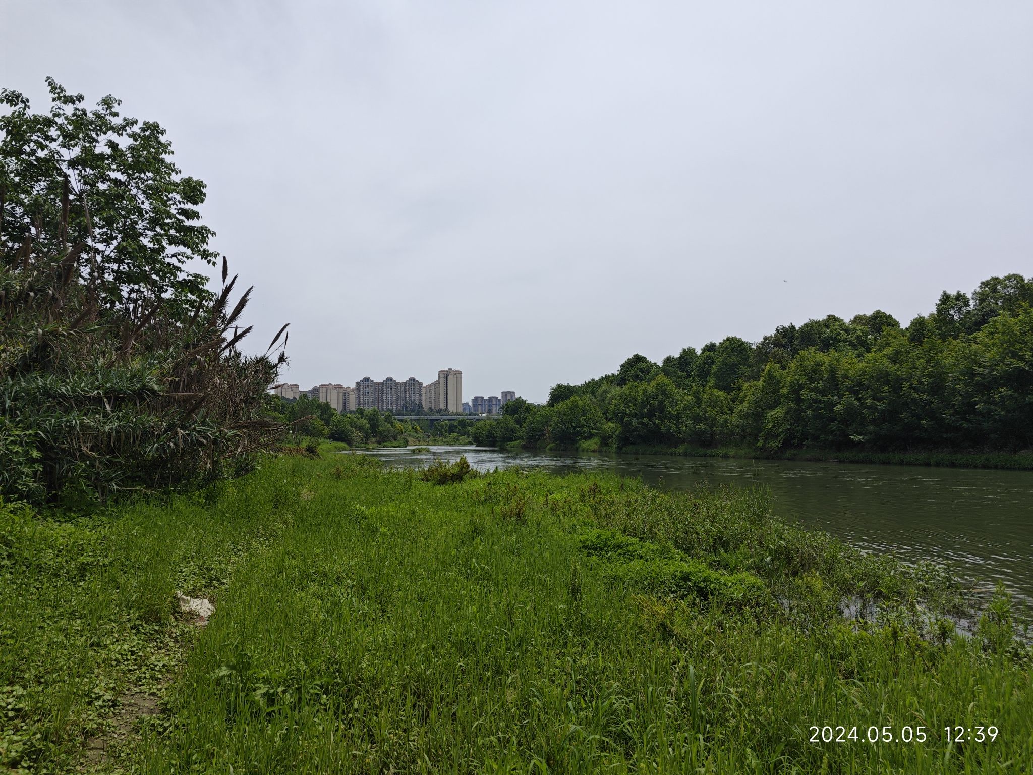 杨柳河滨河公园