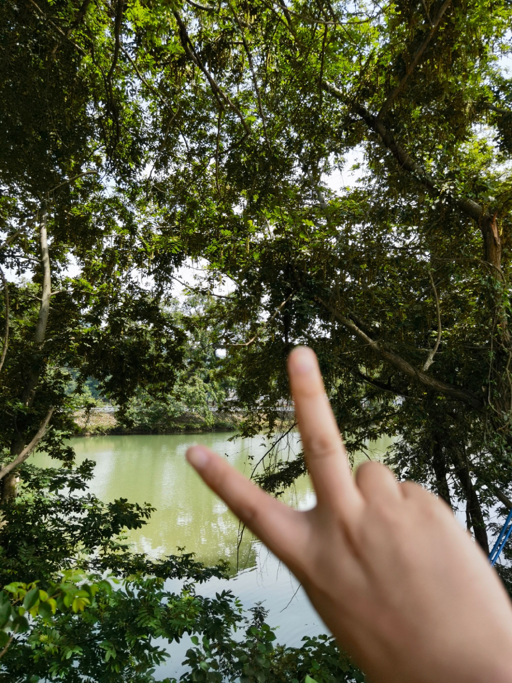 内莞风光-远山的诱惑观景台