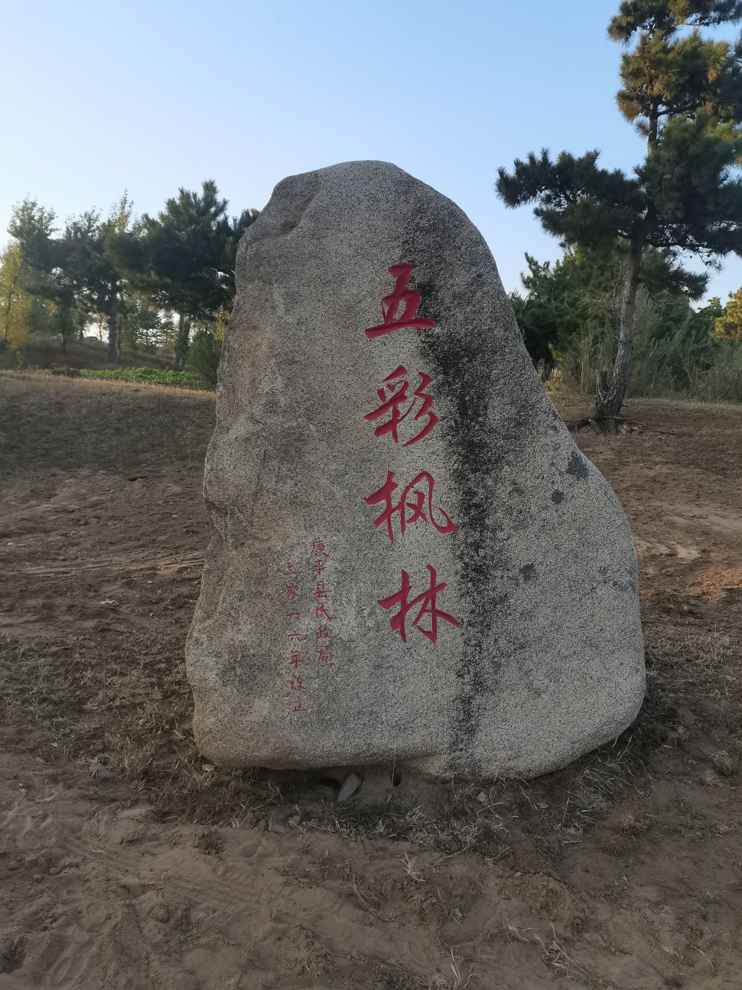 张家窑林场五彩枫林风景区