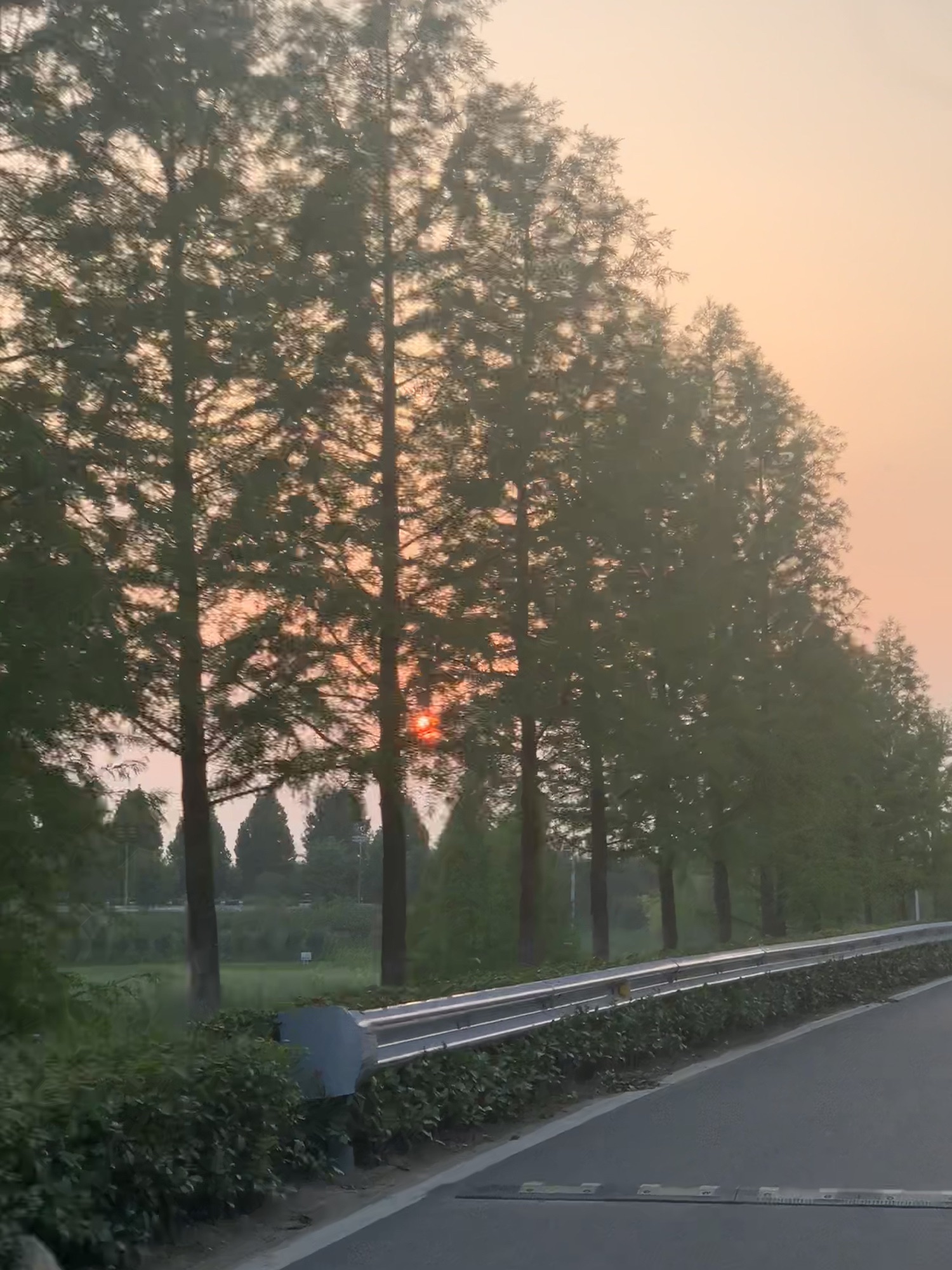长葛工业主题公园