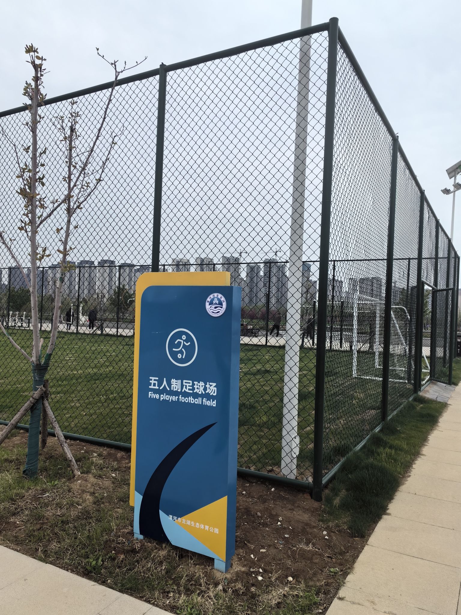 龙湖湿地公园旅行图片